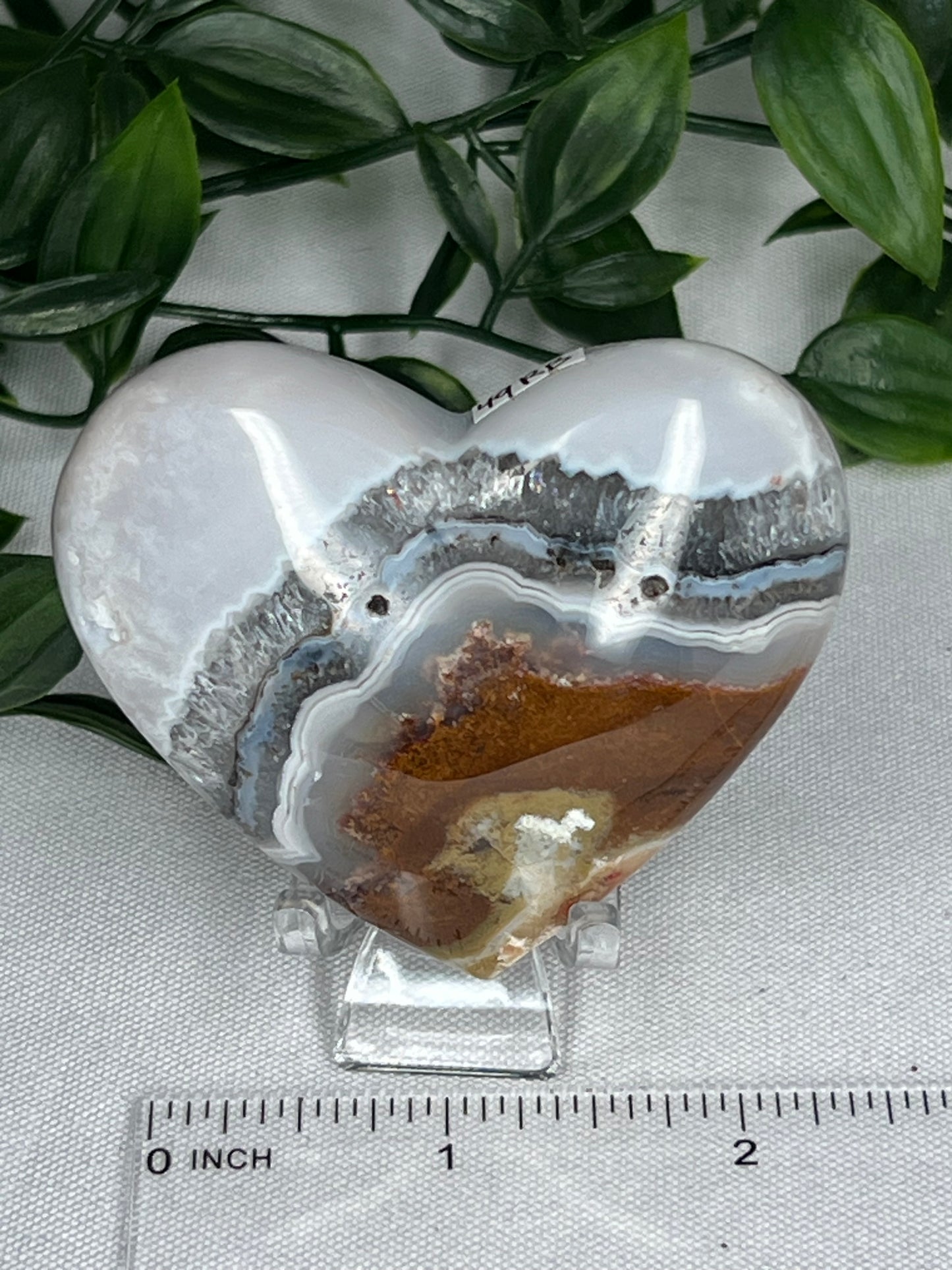 Scenic Moss Agate Heart