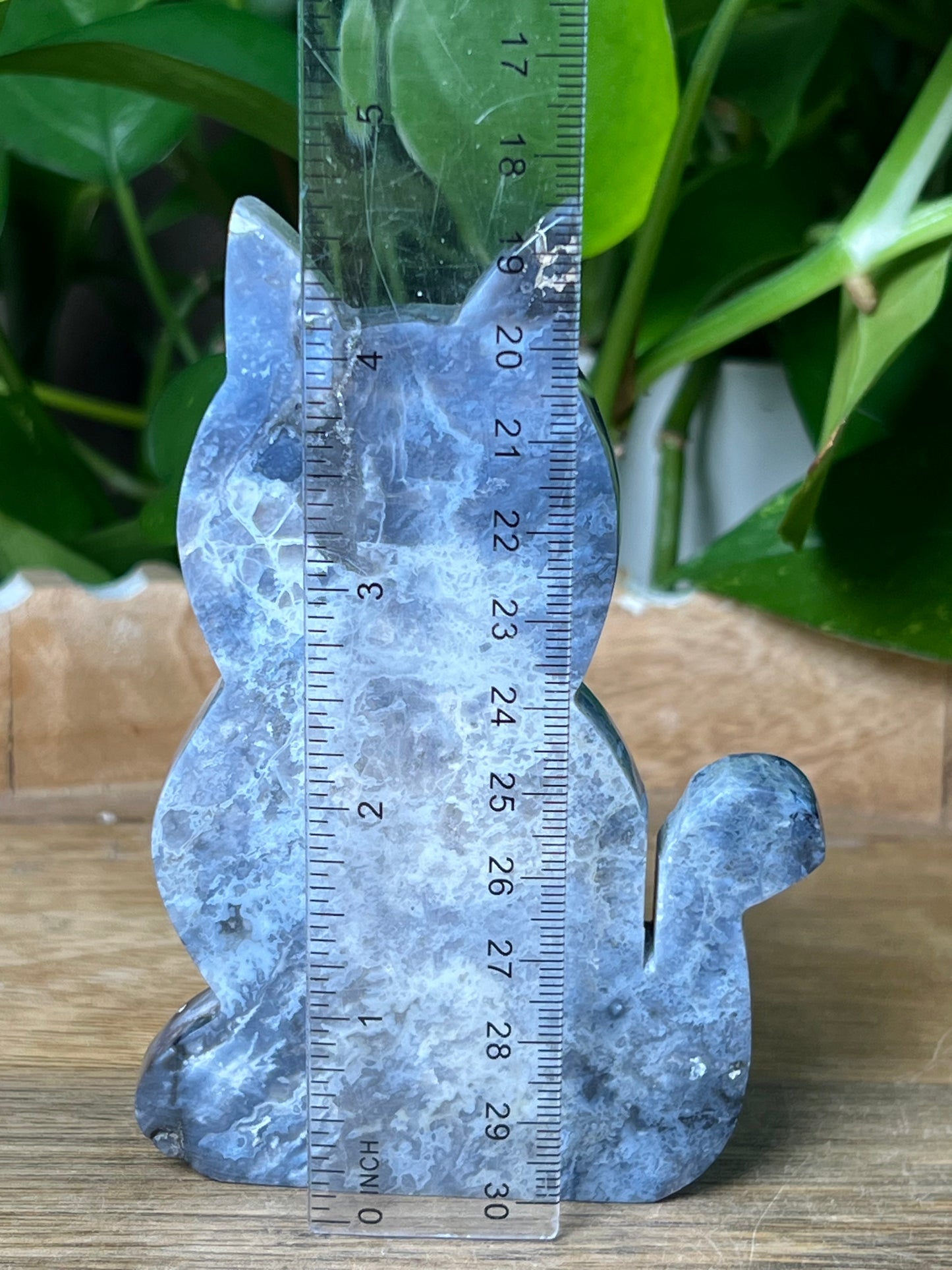 Blue Plume Agate Cat