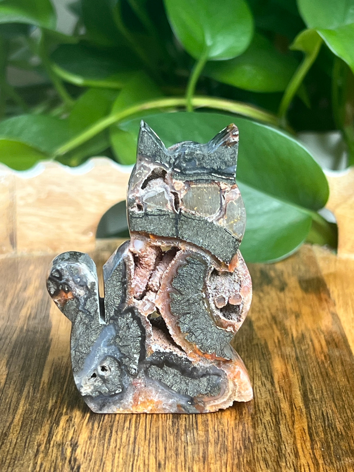 Marcasite Cat: Di