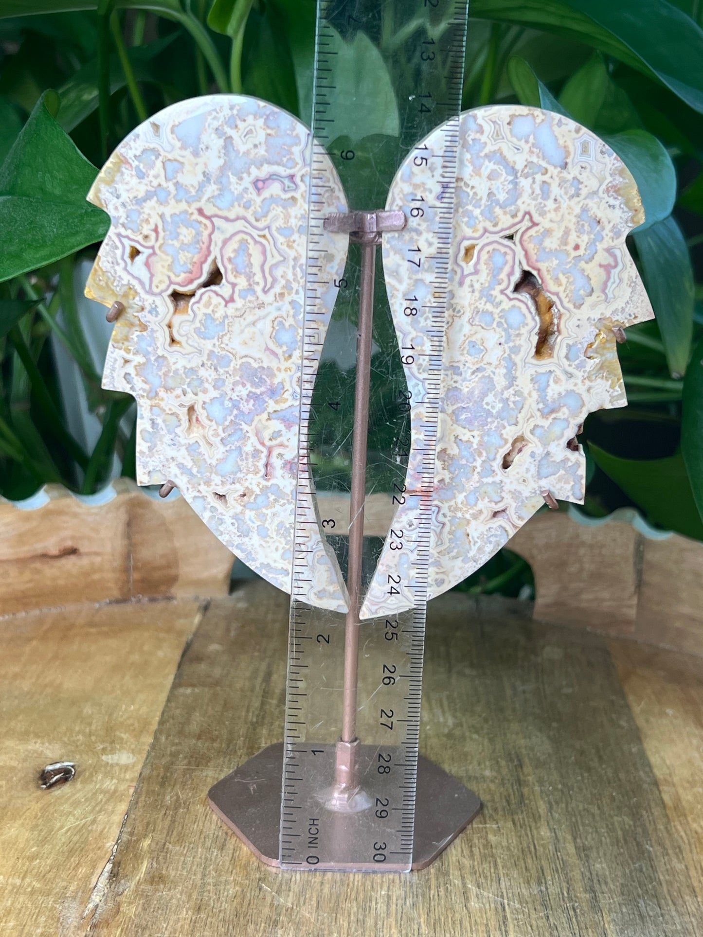 Crazy Lace Agate Wings