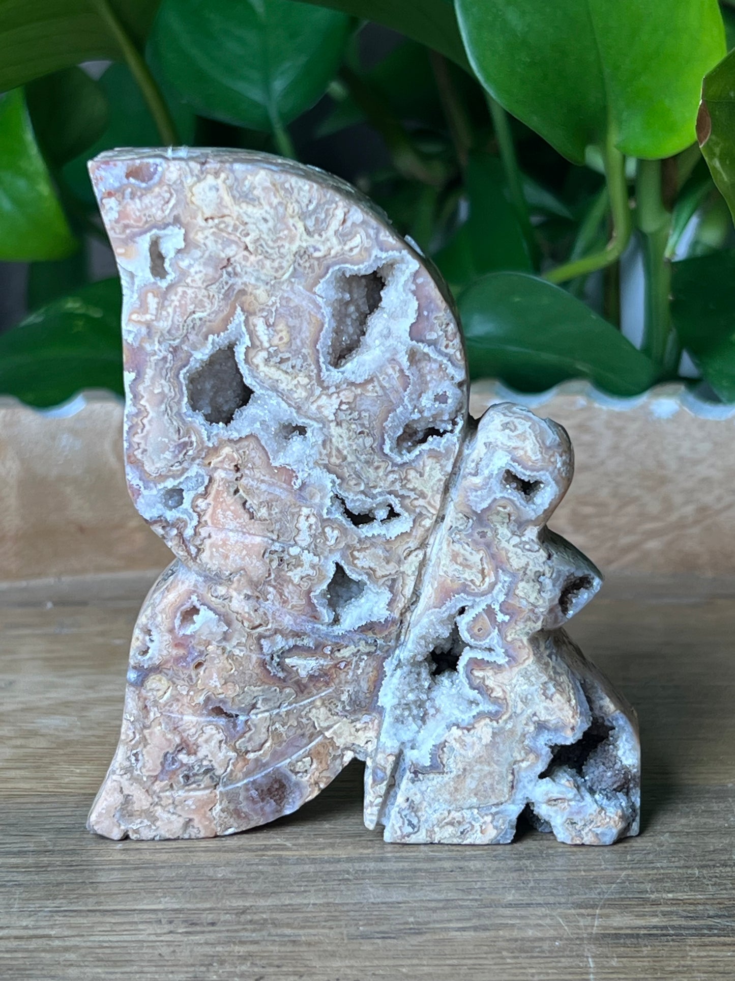 Crazy Lace Agate Fairy