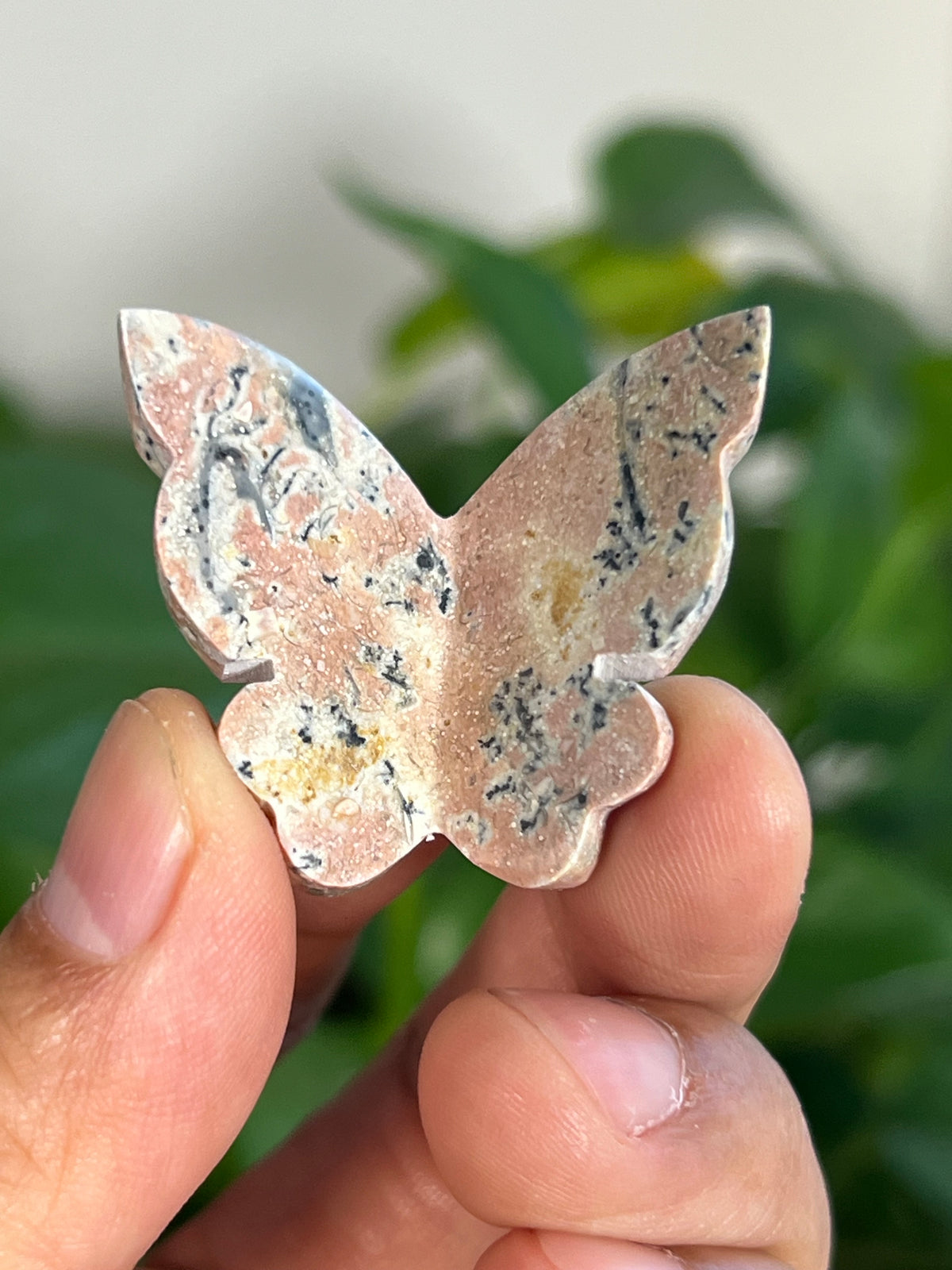 Peachy Pink Dendritic Jasper Mini 3D Butterflies