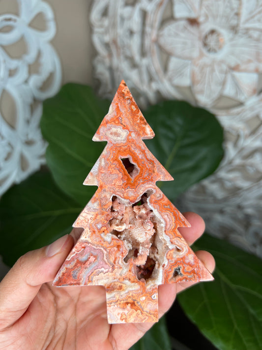Crazy Lace Agate Tree