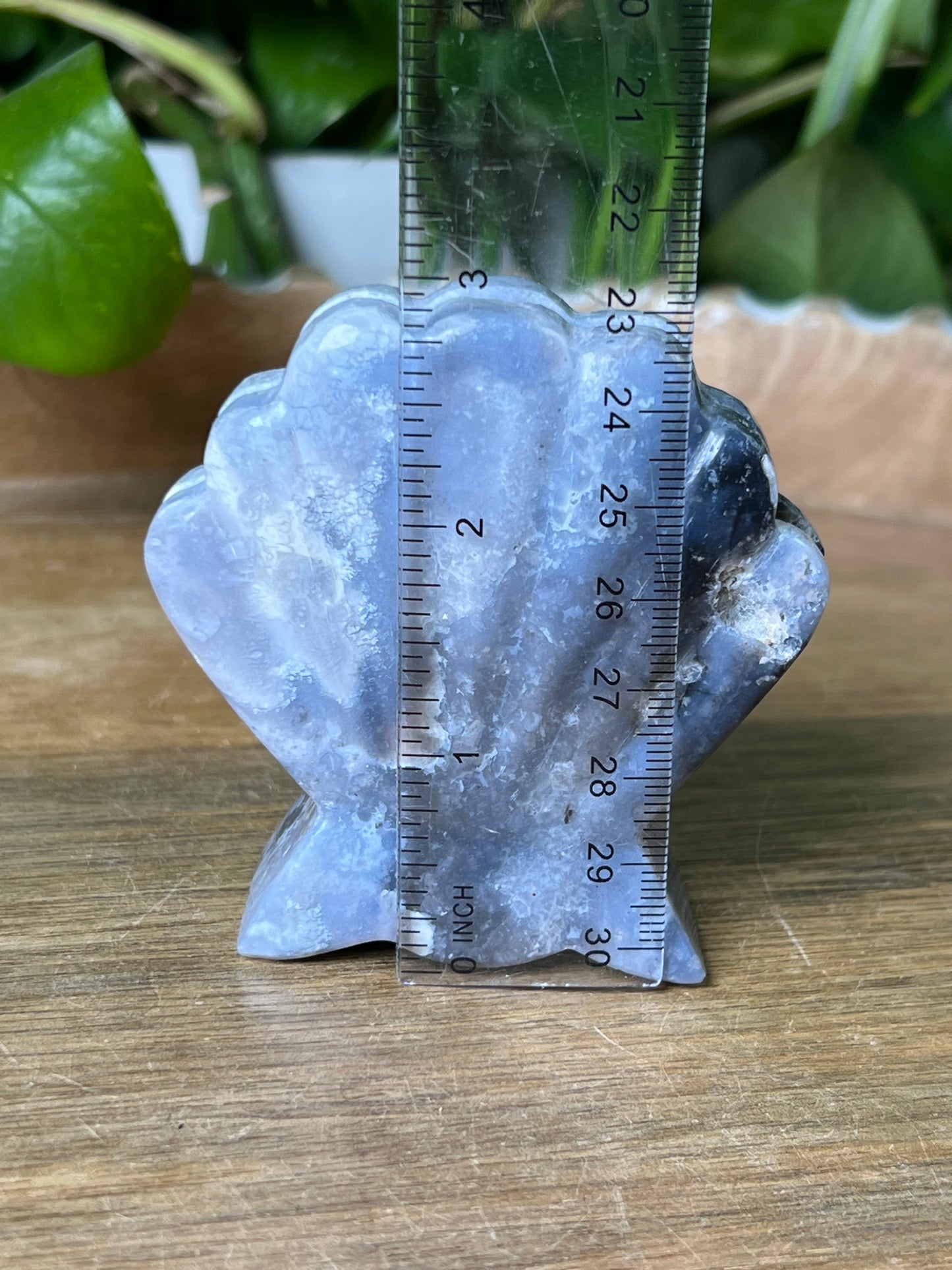 Blue Plume Agate Shell