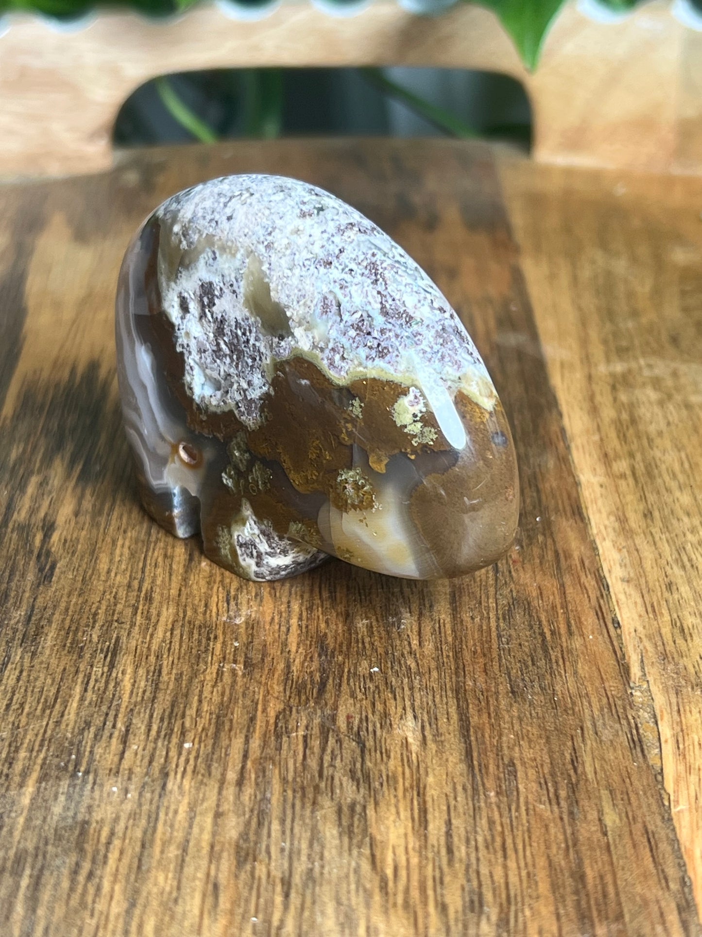 Scenic Moss Agate Bear BK