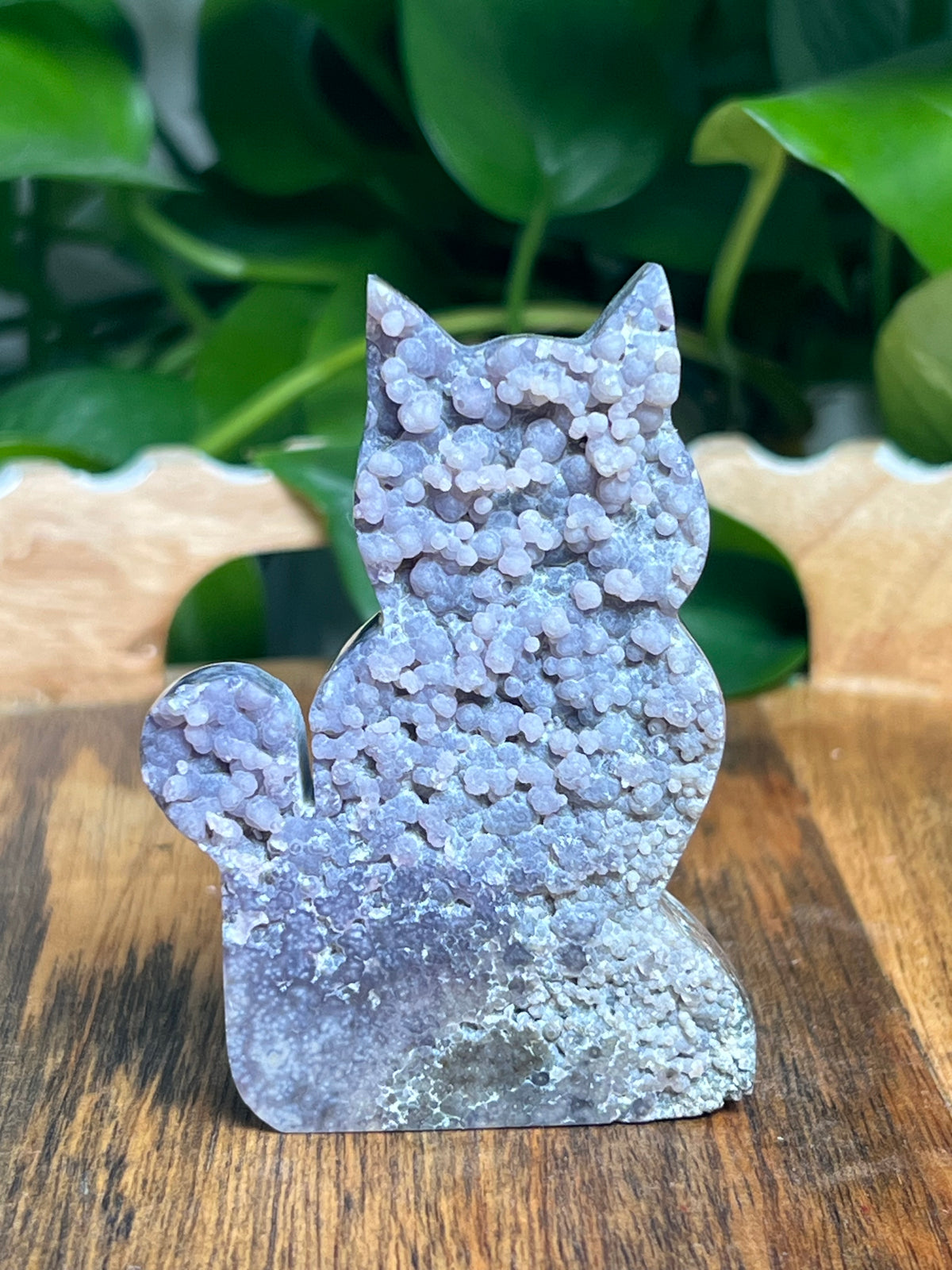 Grape Agate Cat: KS