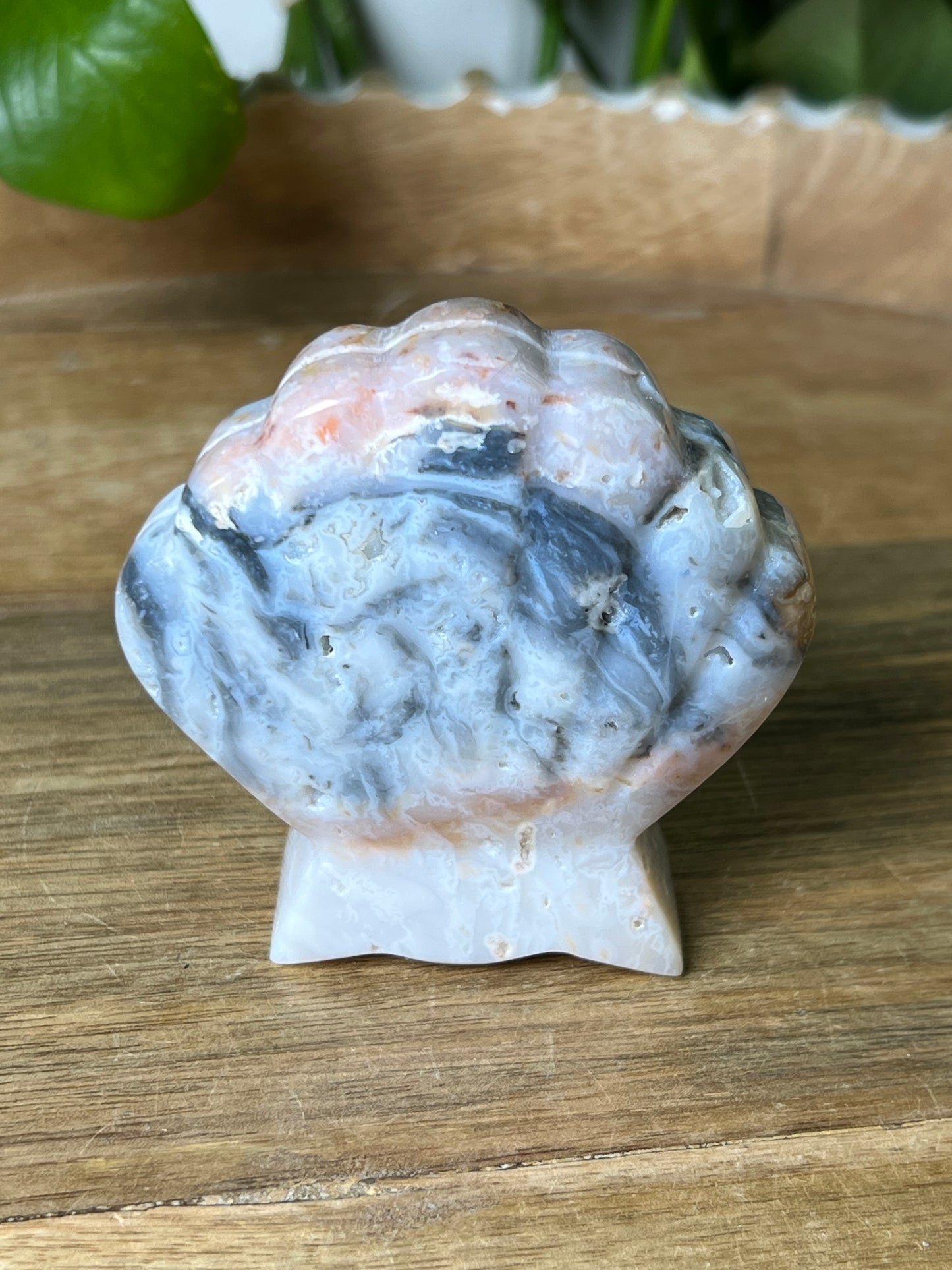 Rainbow Plume Agate Shell