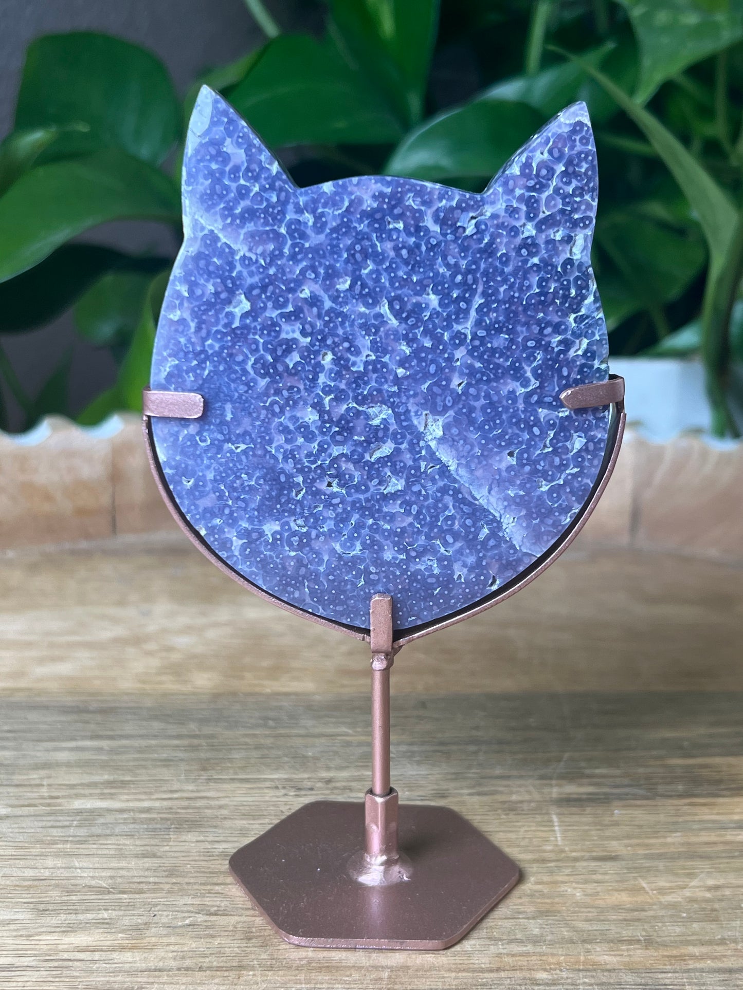 Grape Agate Cat