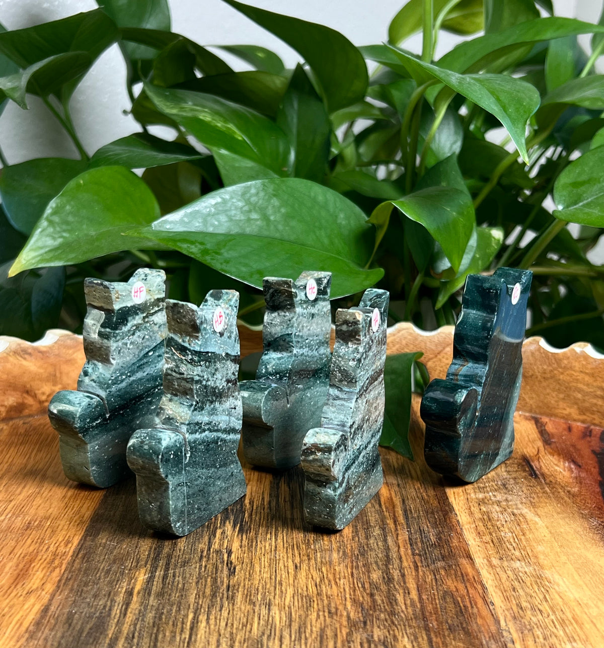 Blue Green Jasper Cats