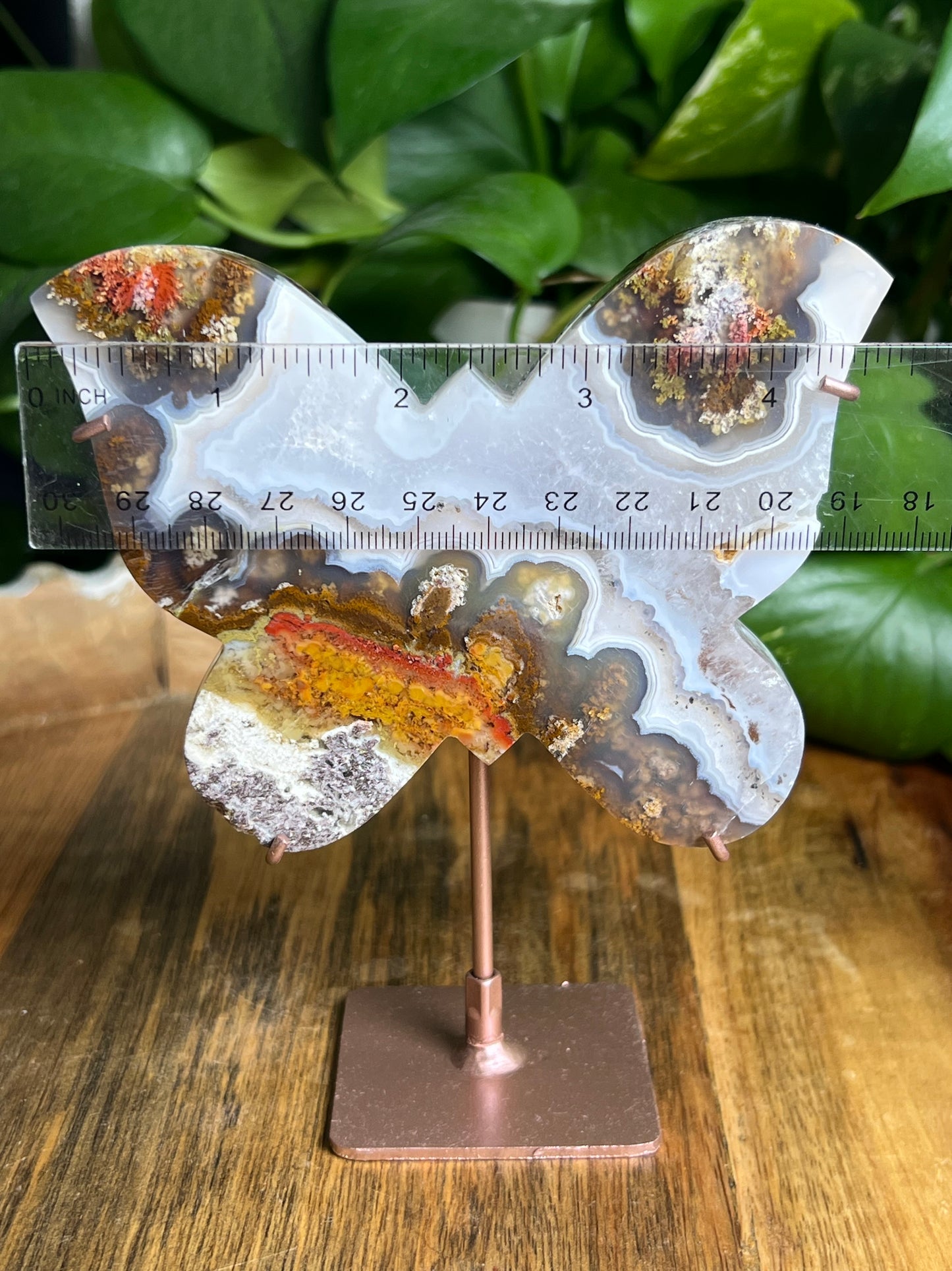 Scenic Moss Agate Butterfly