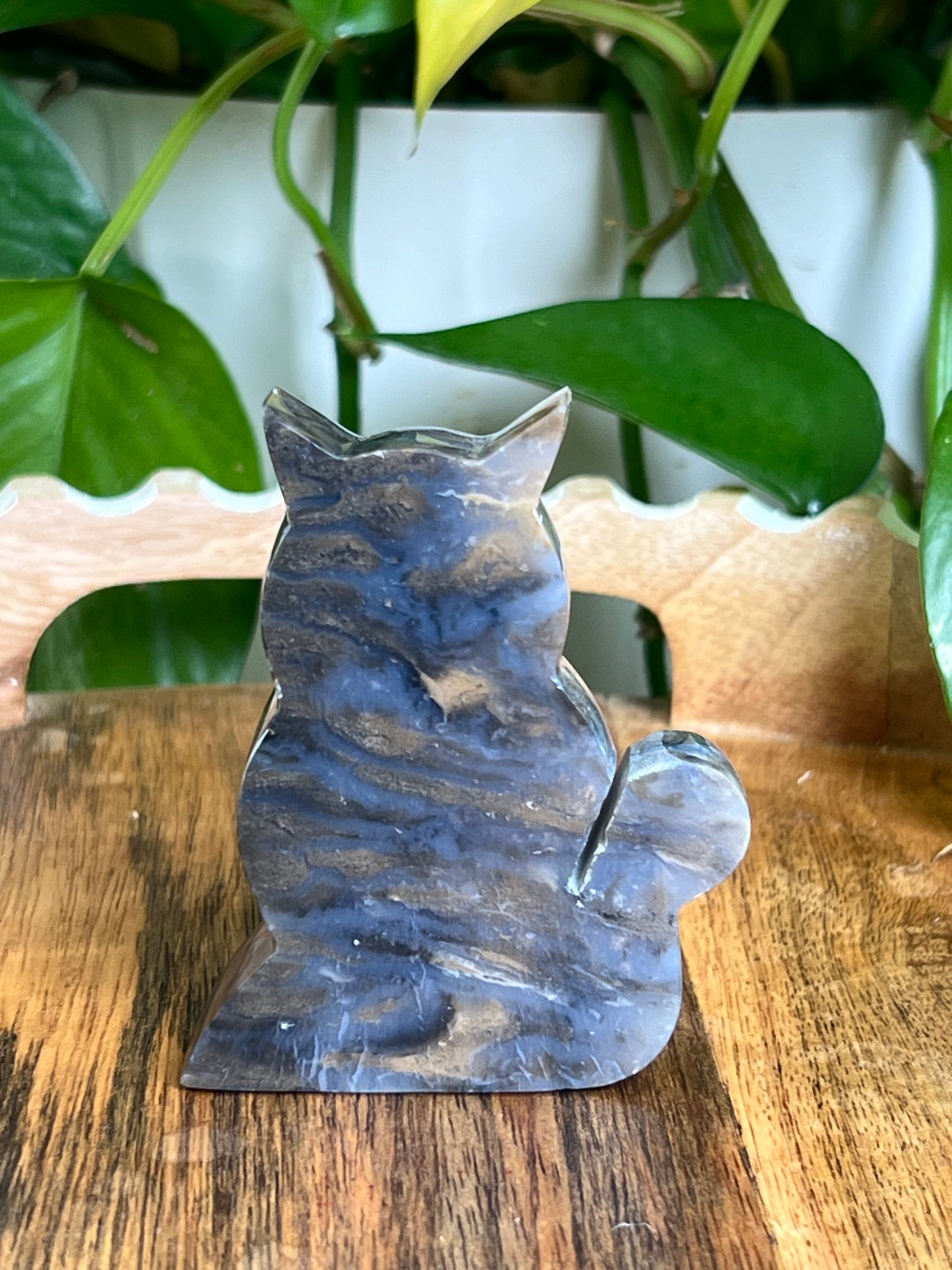 Dendritic Tiger Agate Cat AE