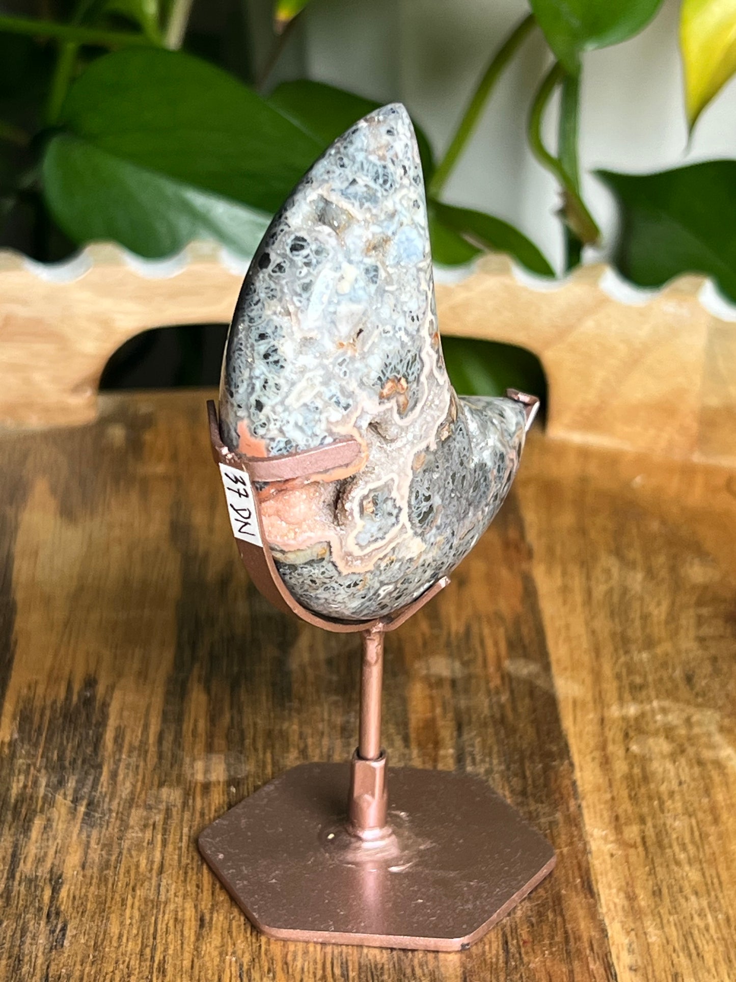 Marcasite Moon DN
