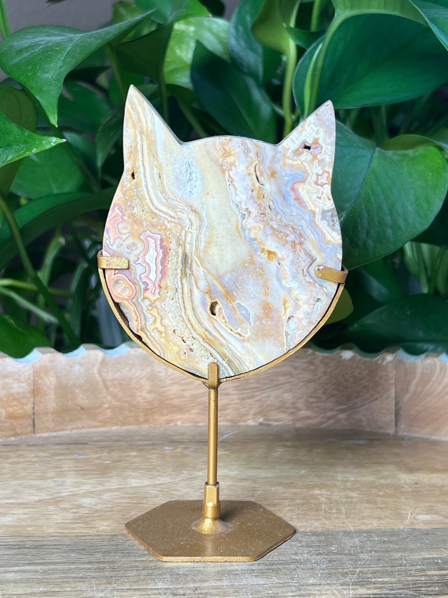Crazy Lace Agate Cat Head