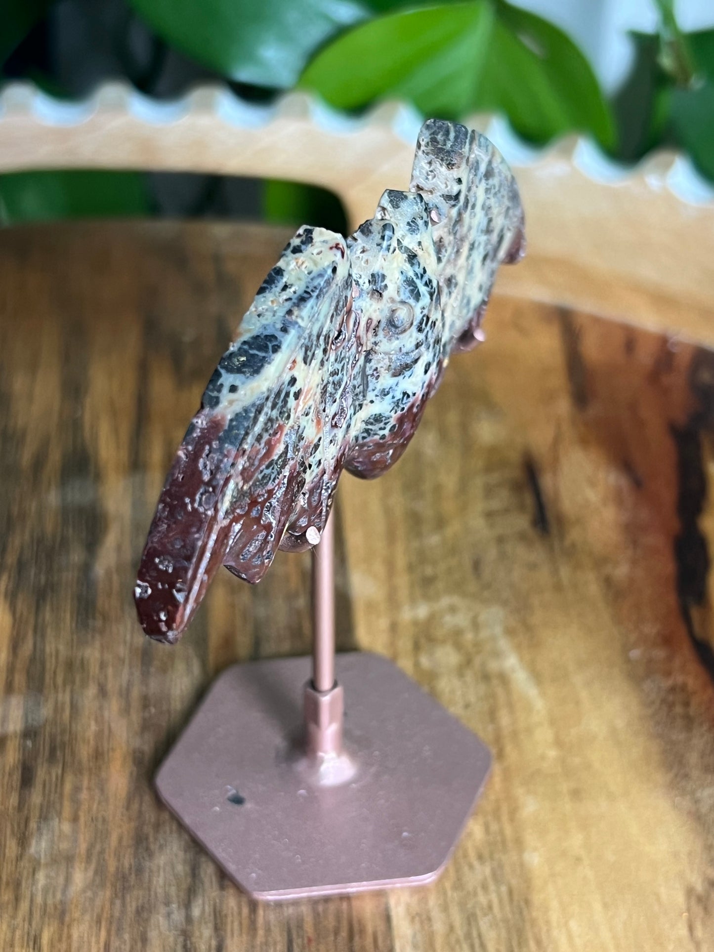 Marcasite Bat
