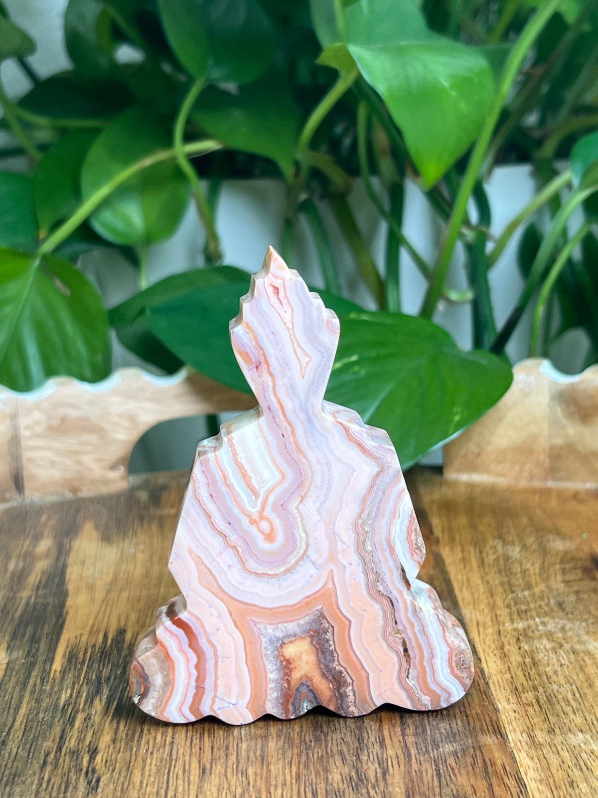 Crazy Lace Agate Buddha: D