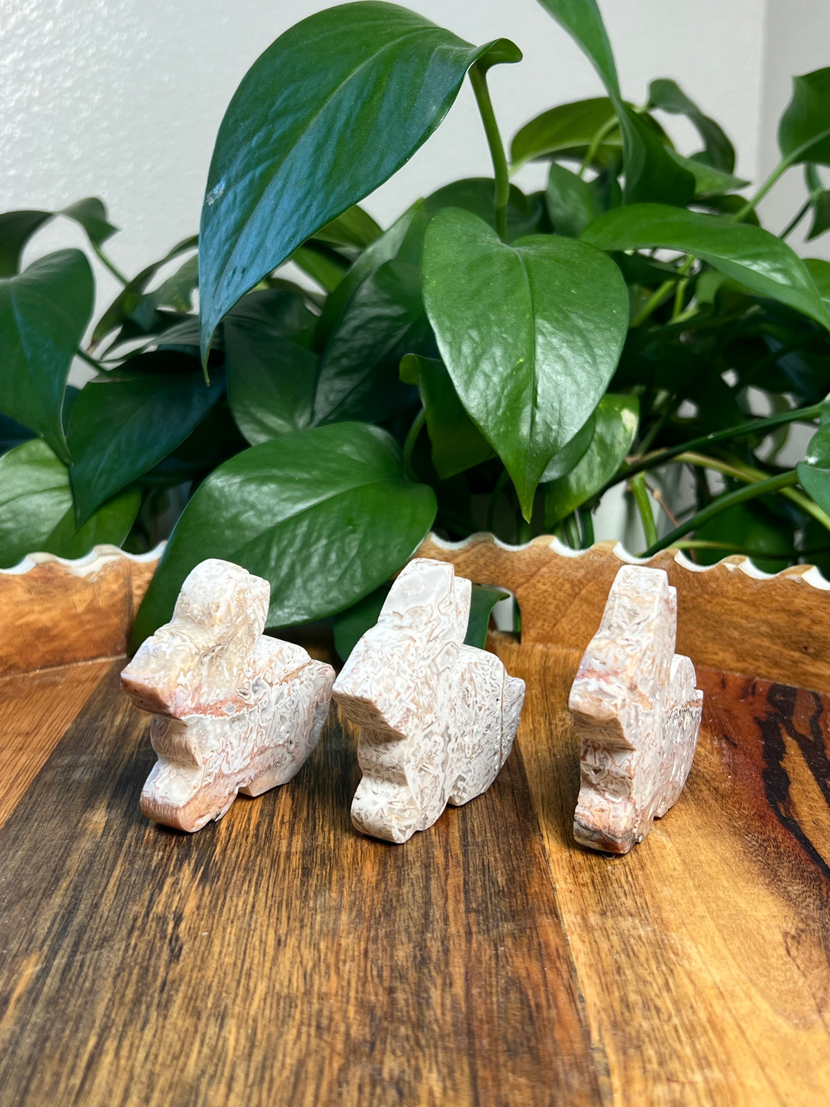 Tube Agate Bunnies