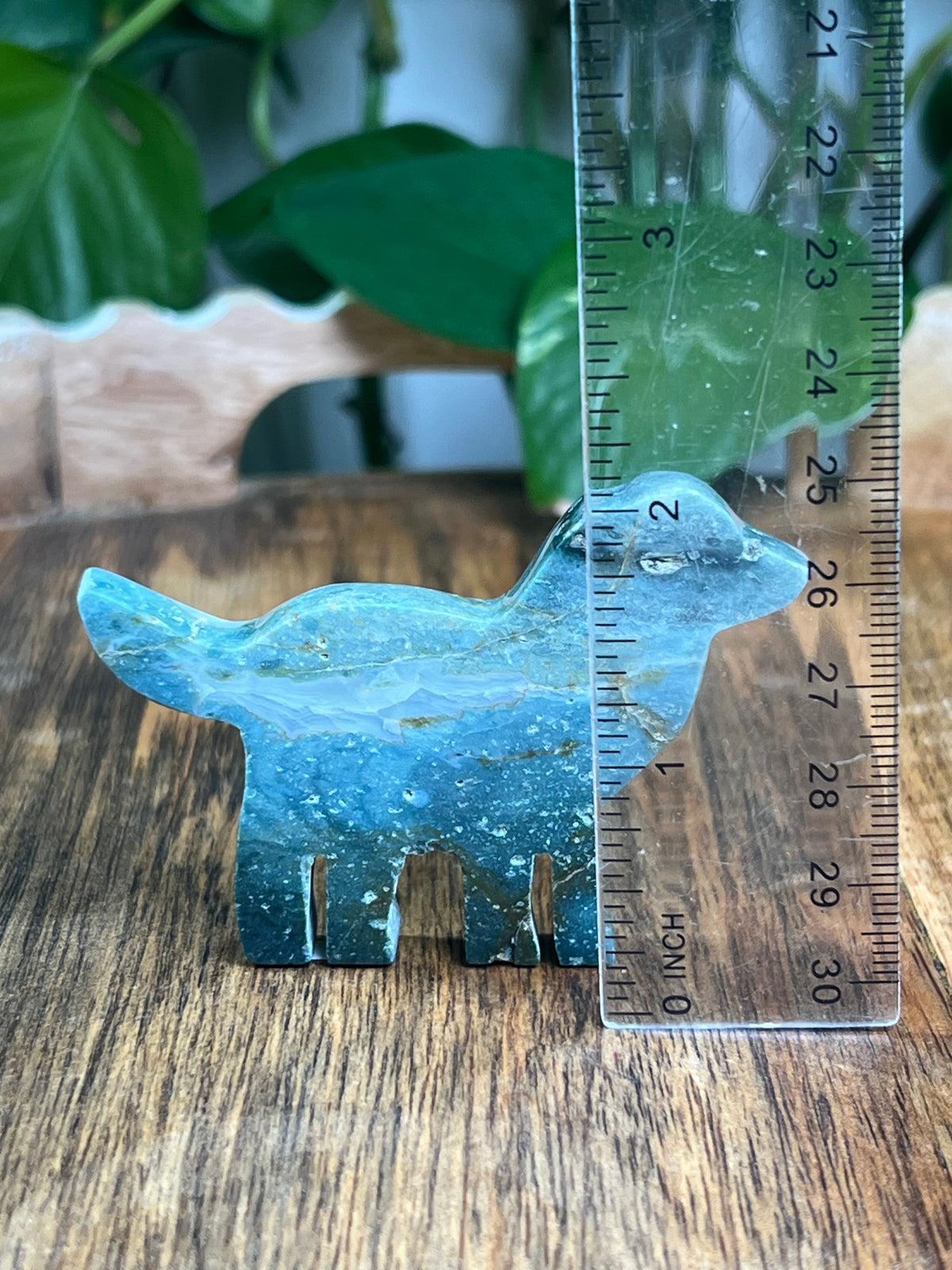 Blue Green Jasper Dog: BA