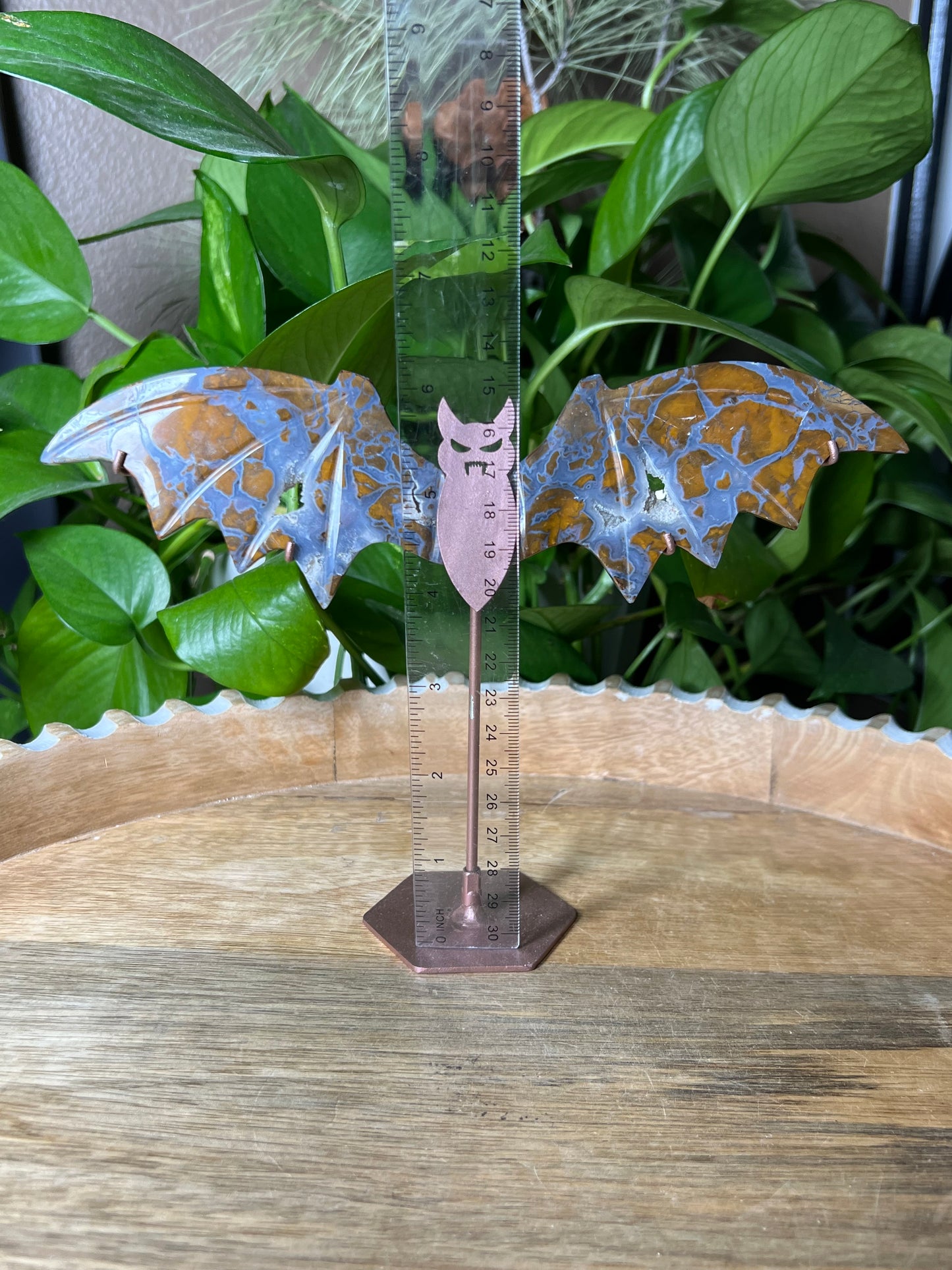 Brecciated Jasper Bat Wings