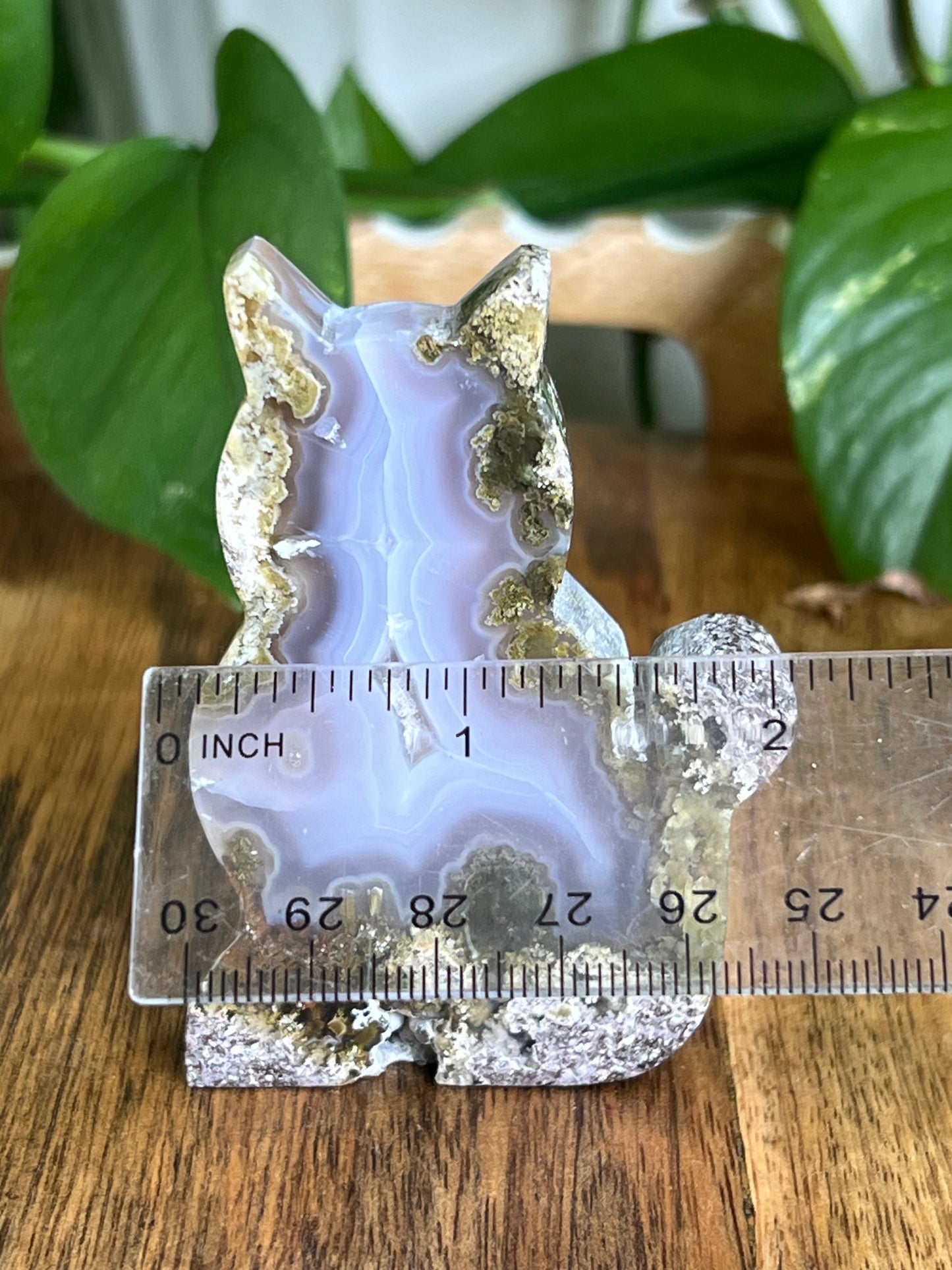 Scenic Moss Agate Cat HV