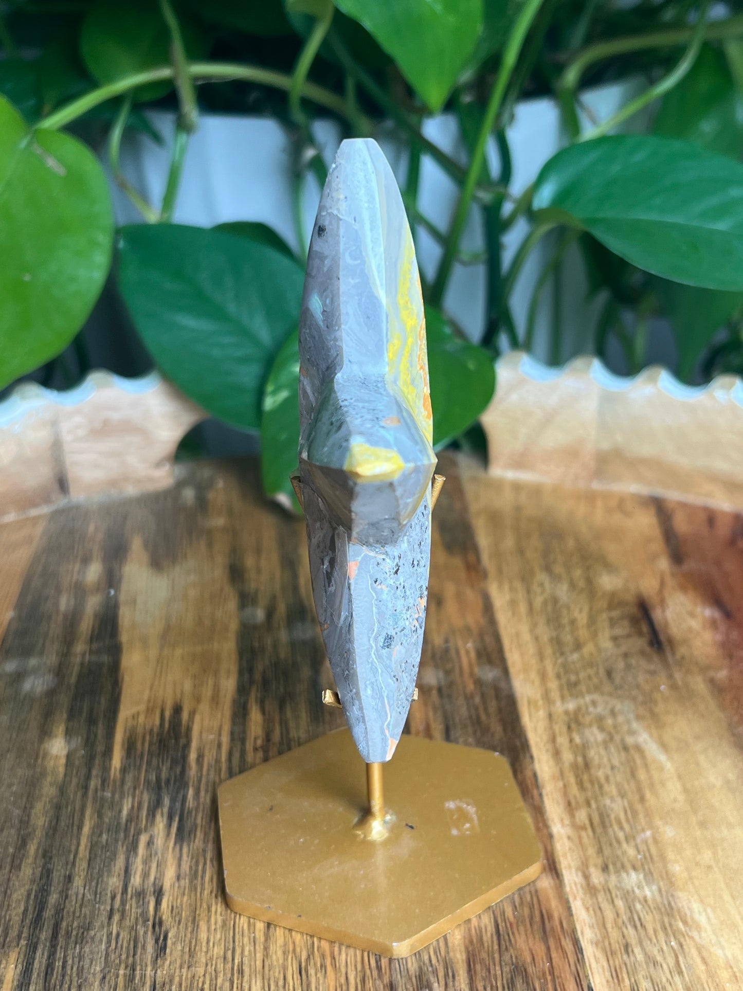 Bumblebee Jasper Star: PM