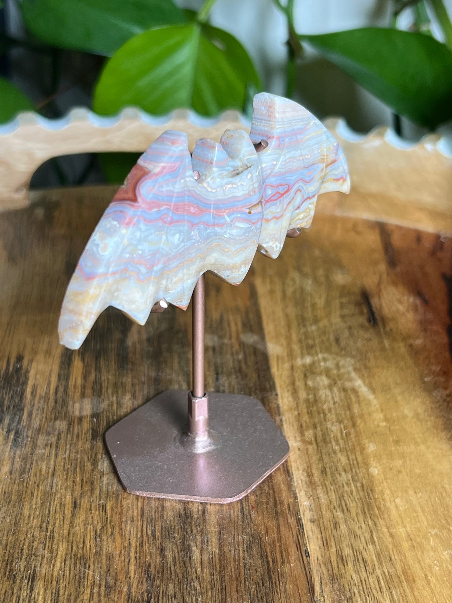 Crazy Lace Agate Bat