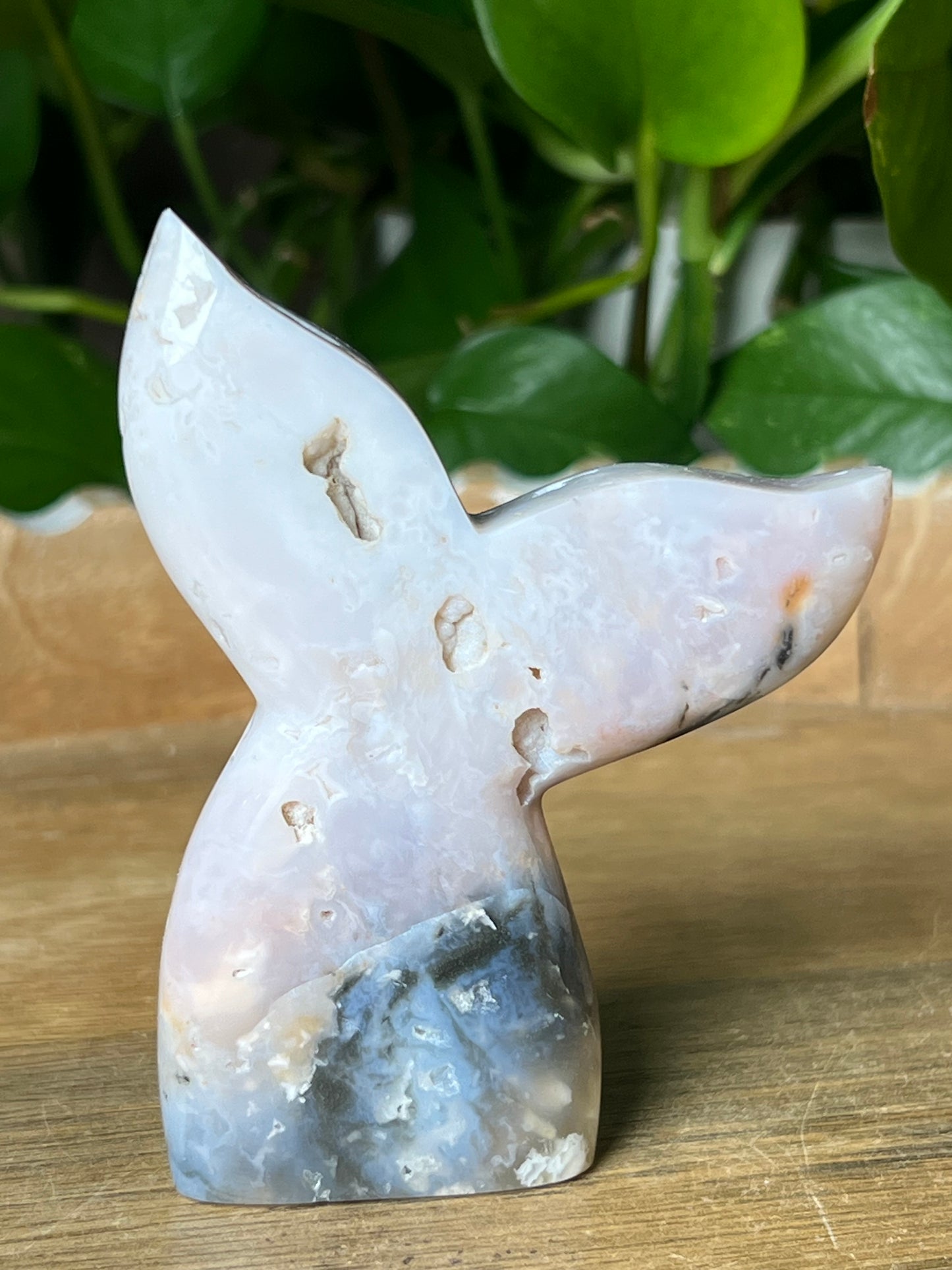 Rainbow Plume Agate Tail: RA