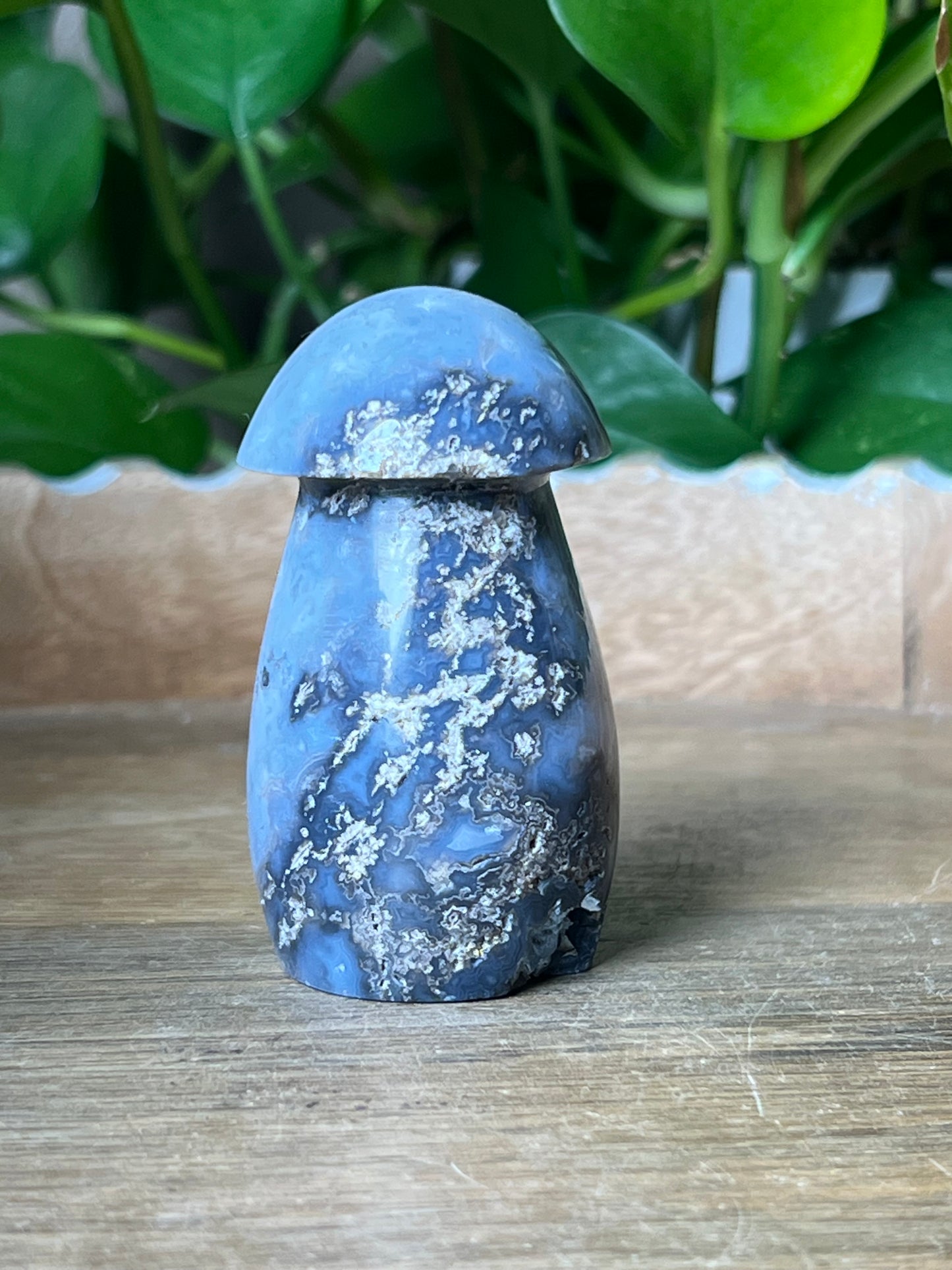 Blue Plume Agate Mushroom: ZB