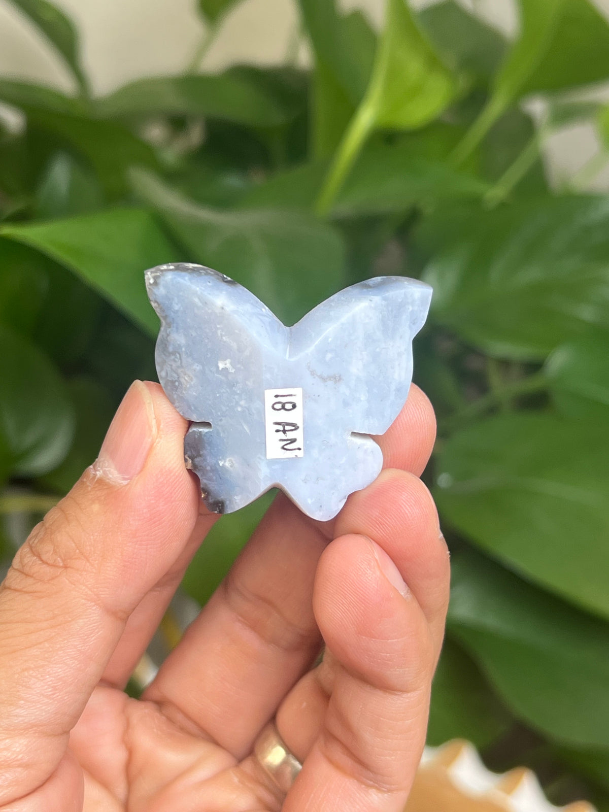 Blue Plume Agate Mini 3D Butterfly: AN