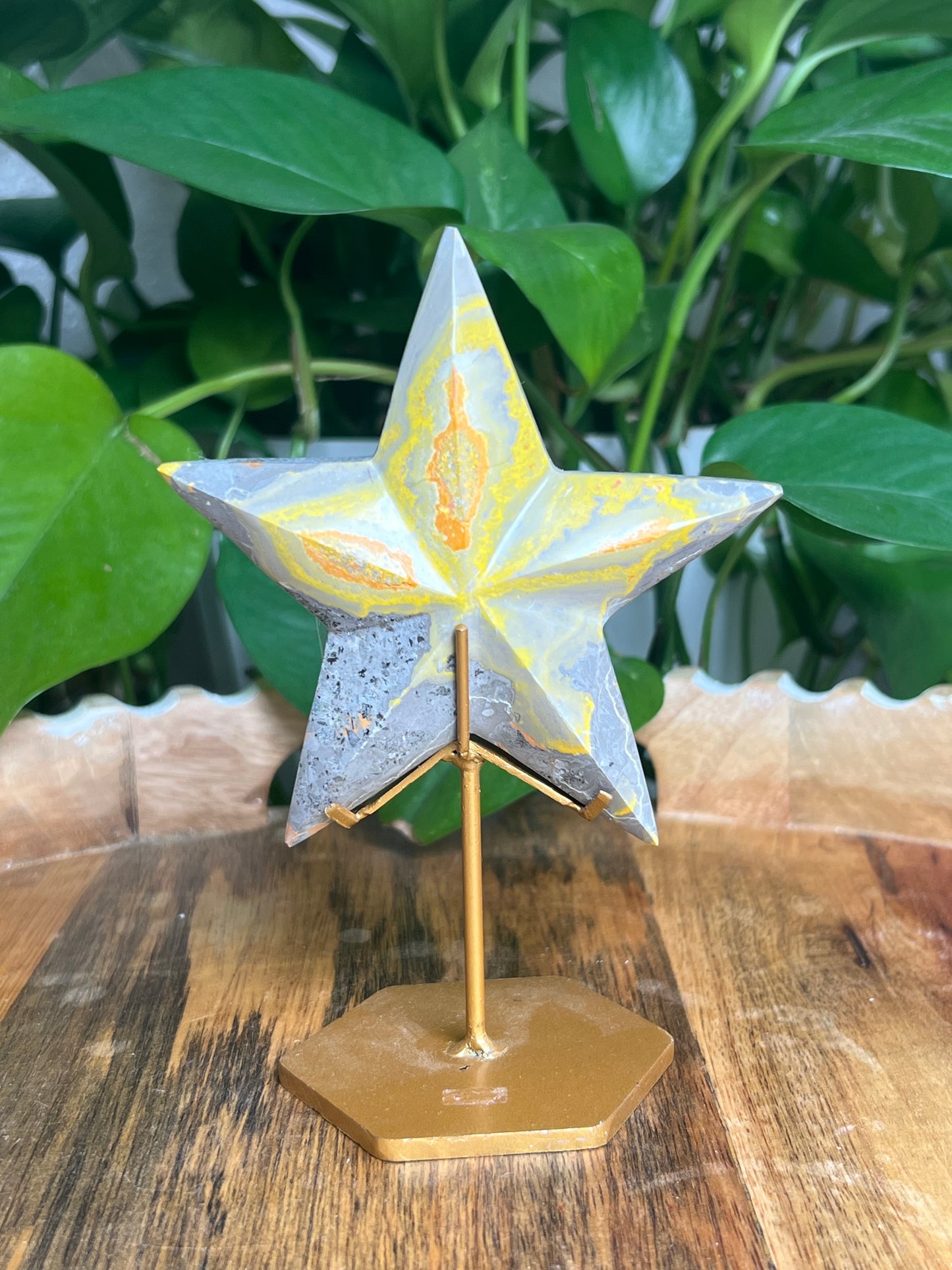 Bumblebee Jasper Star: PM