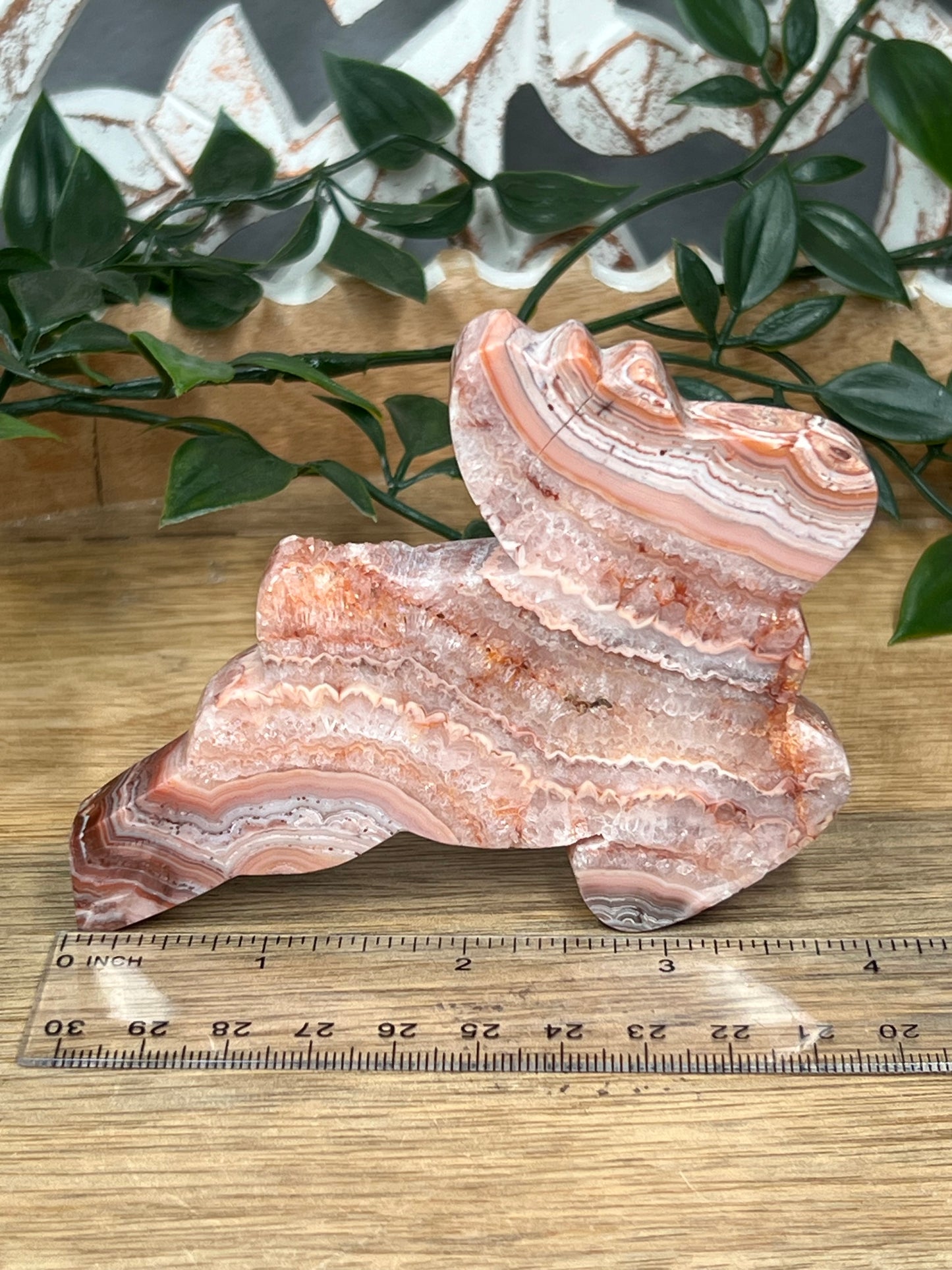 Pink Crazy Lace Agate Deer