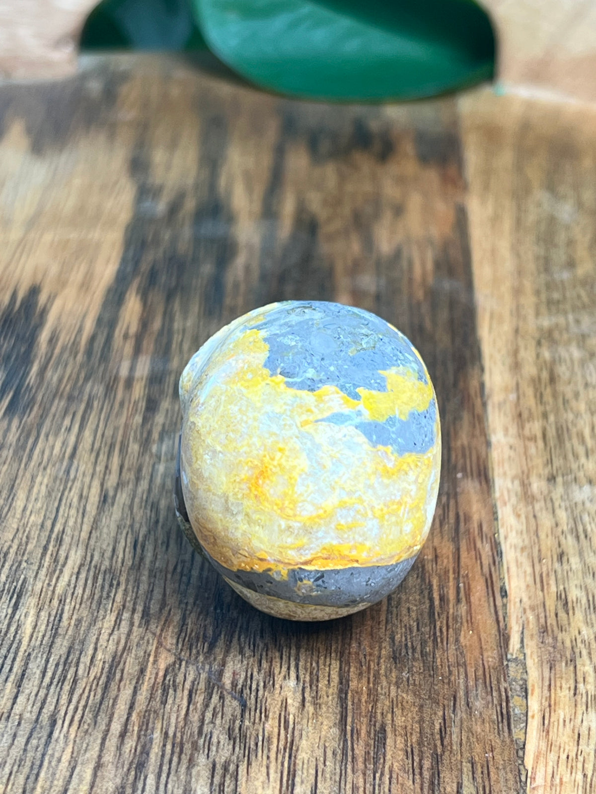 Bumblebee Jasper Mini Skull: E