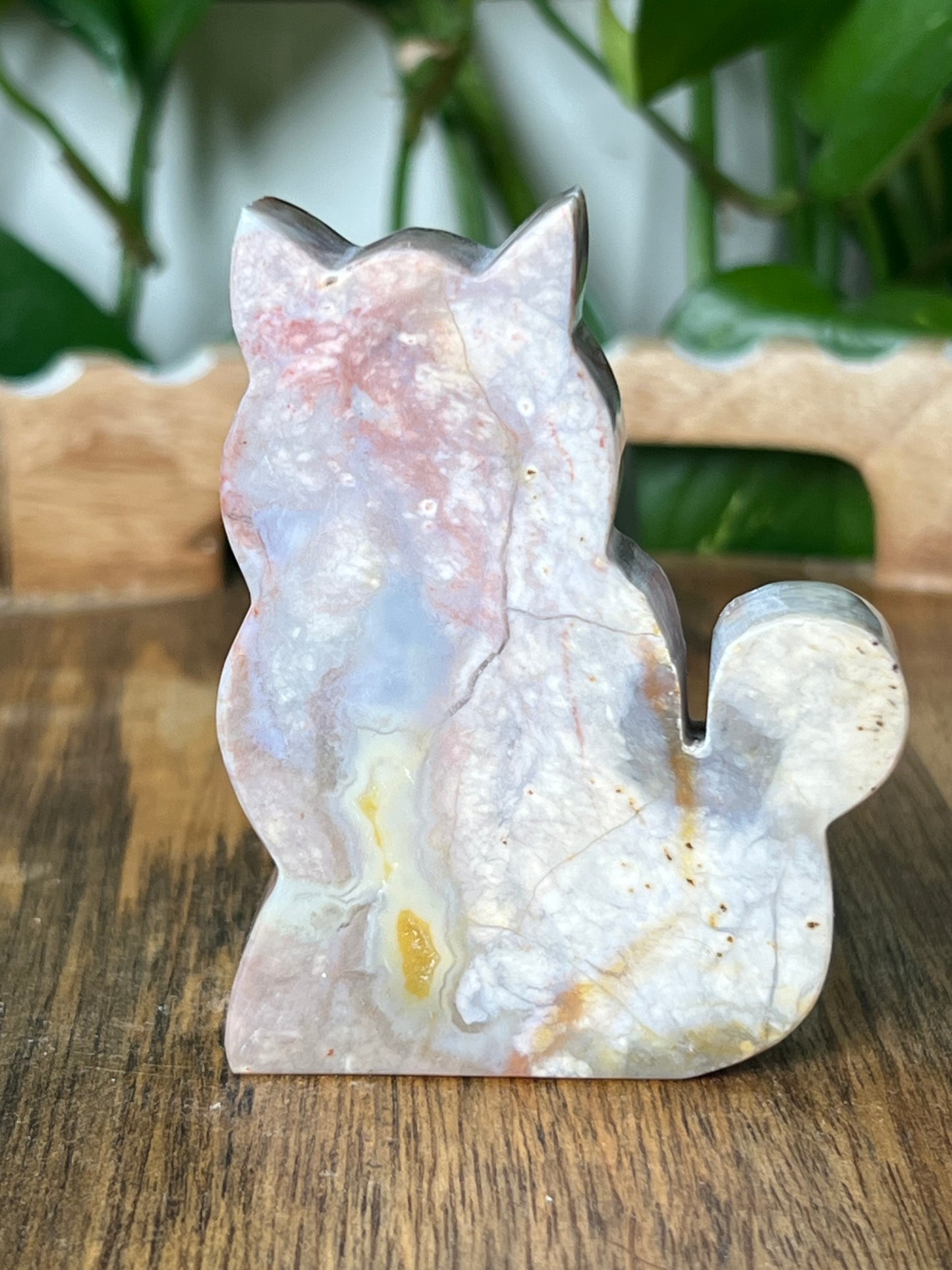 River Jasper Cat