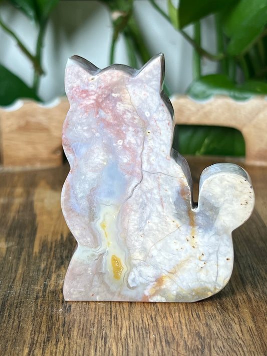 River Jasper Cat
