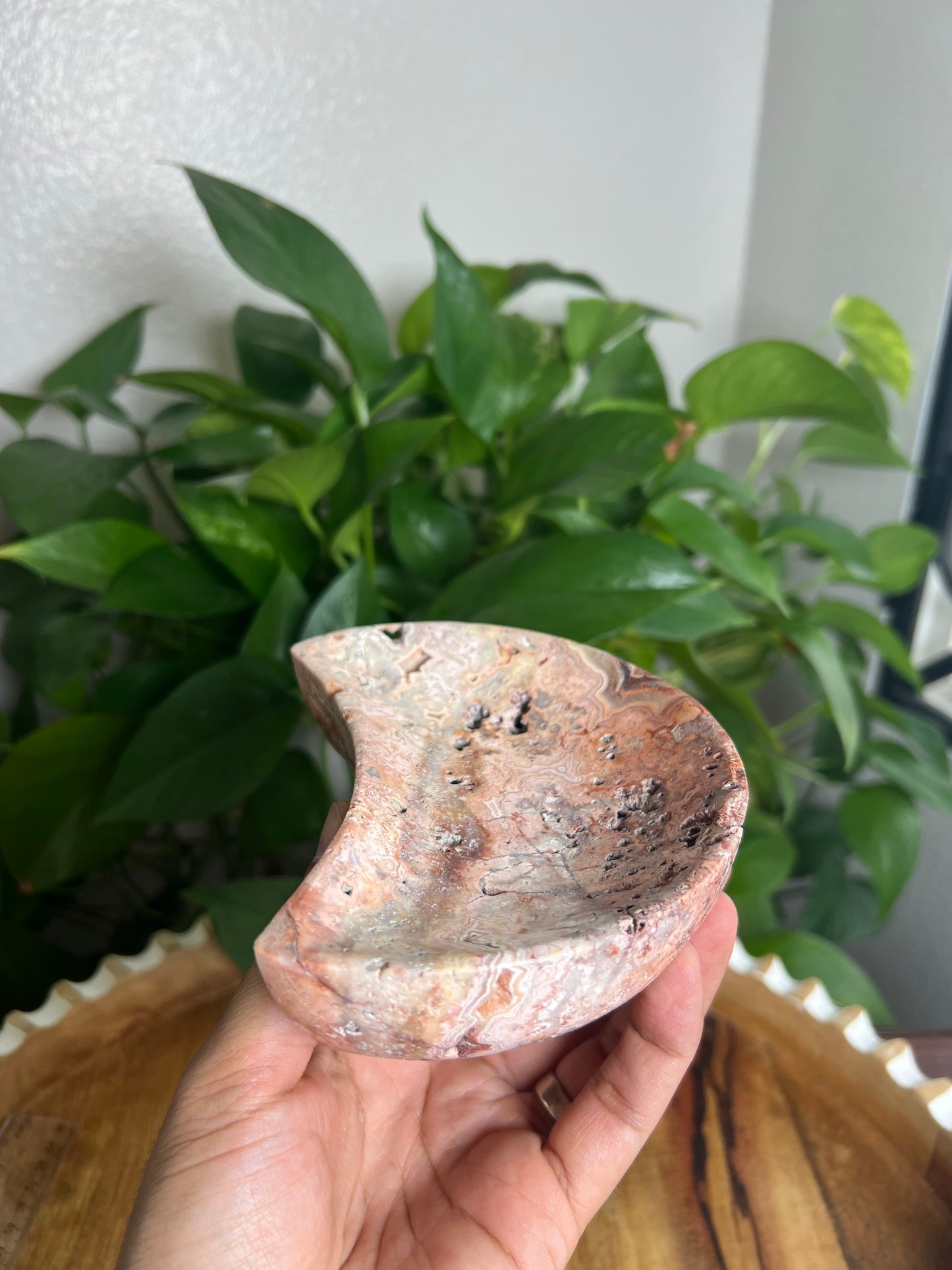 Crazy Lace Agate Moon Bowl: E