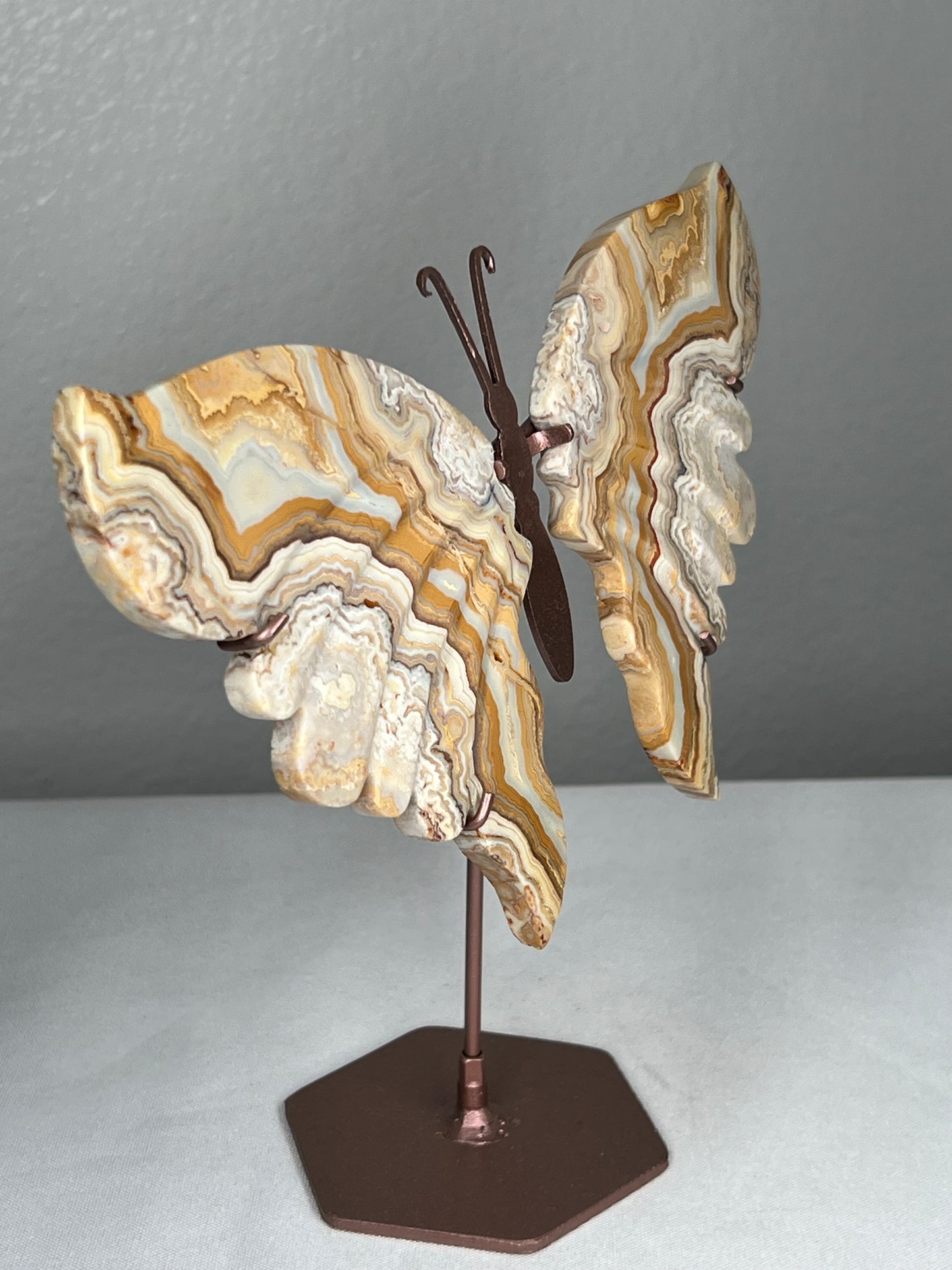 Yellow Crazy Lace Agate Wings