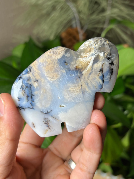 Dendritic Tiger Buffalo