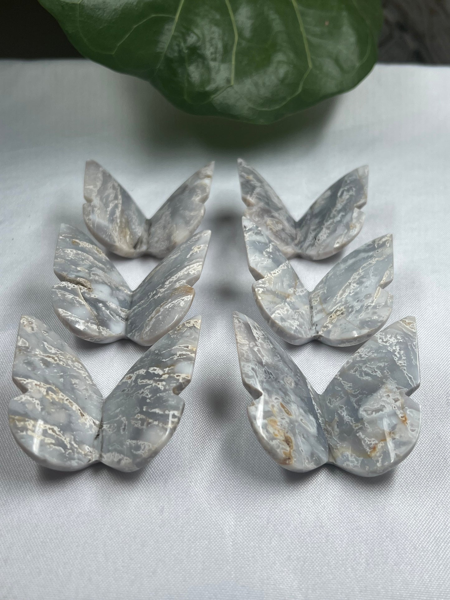 6 pcs Grey Blue Plume Agate 3D Butterfly