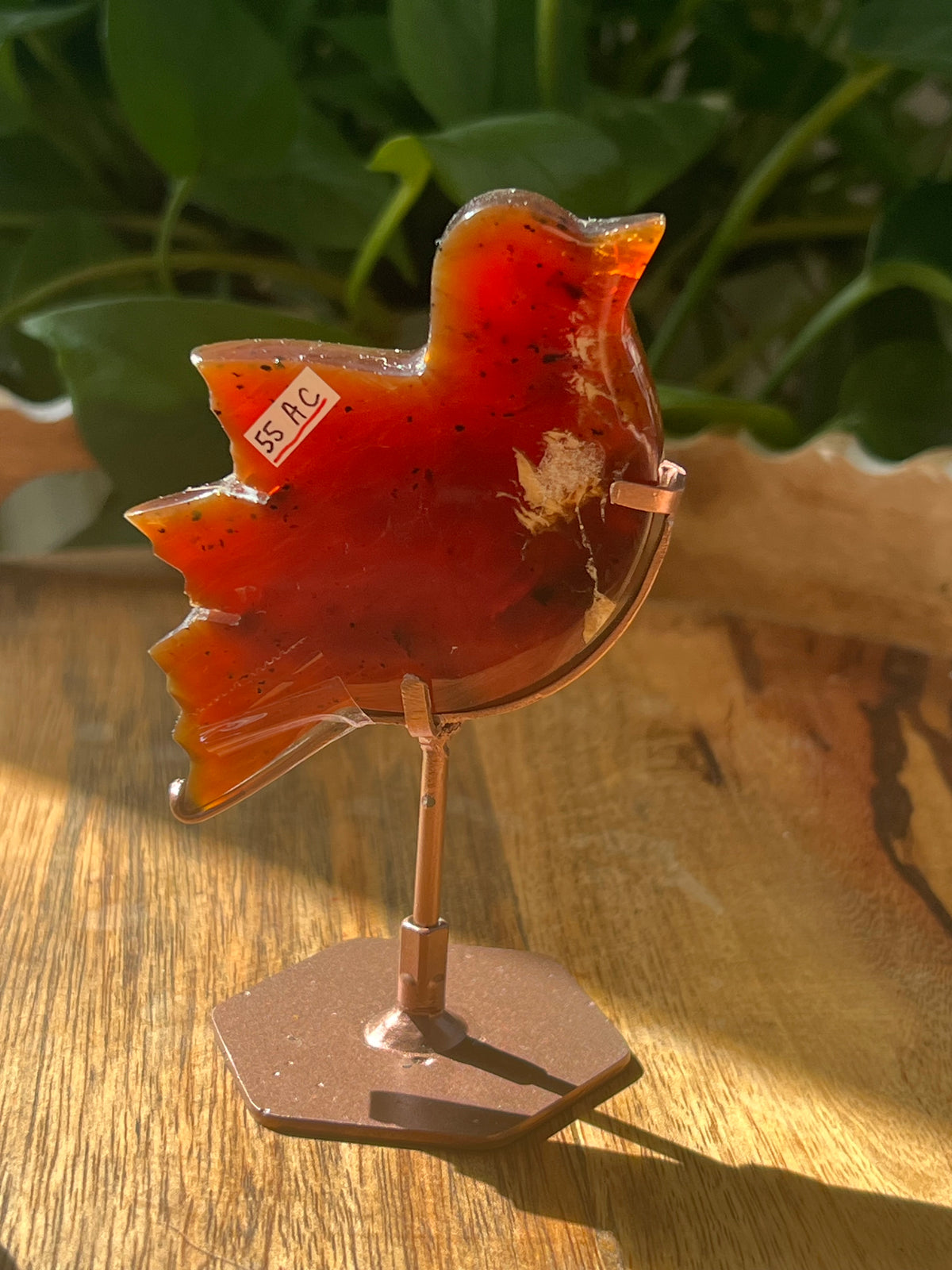 Blue Amber Bird: AC