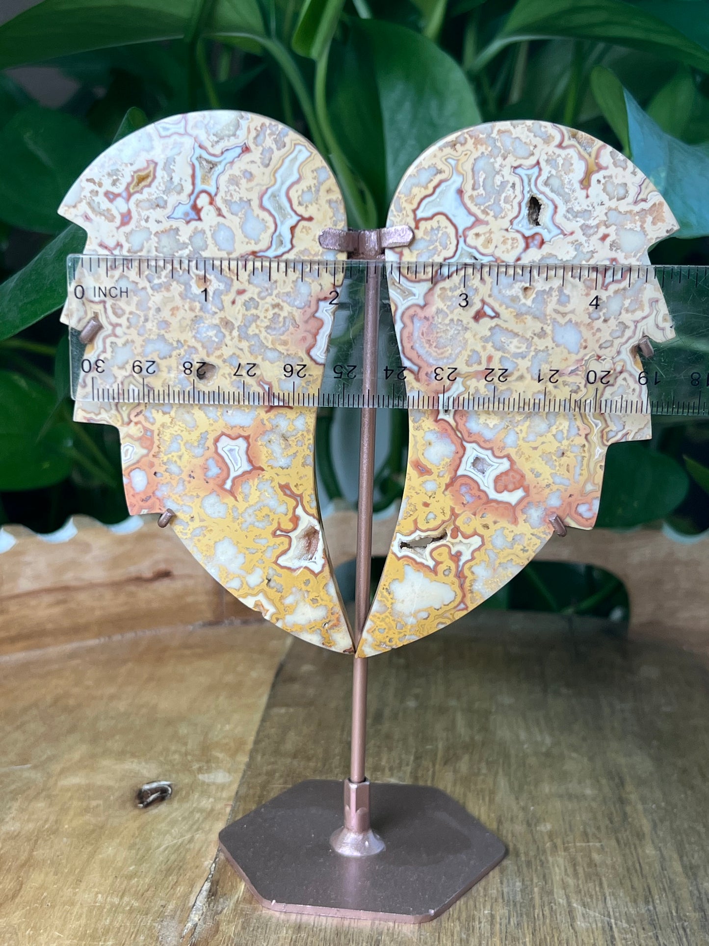 Crazy Lace Agate Wings