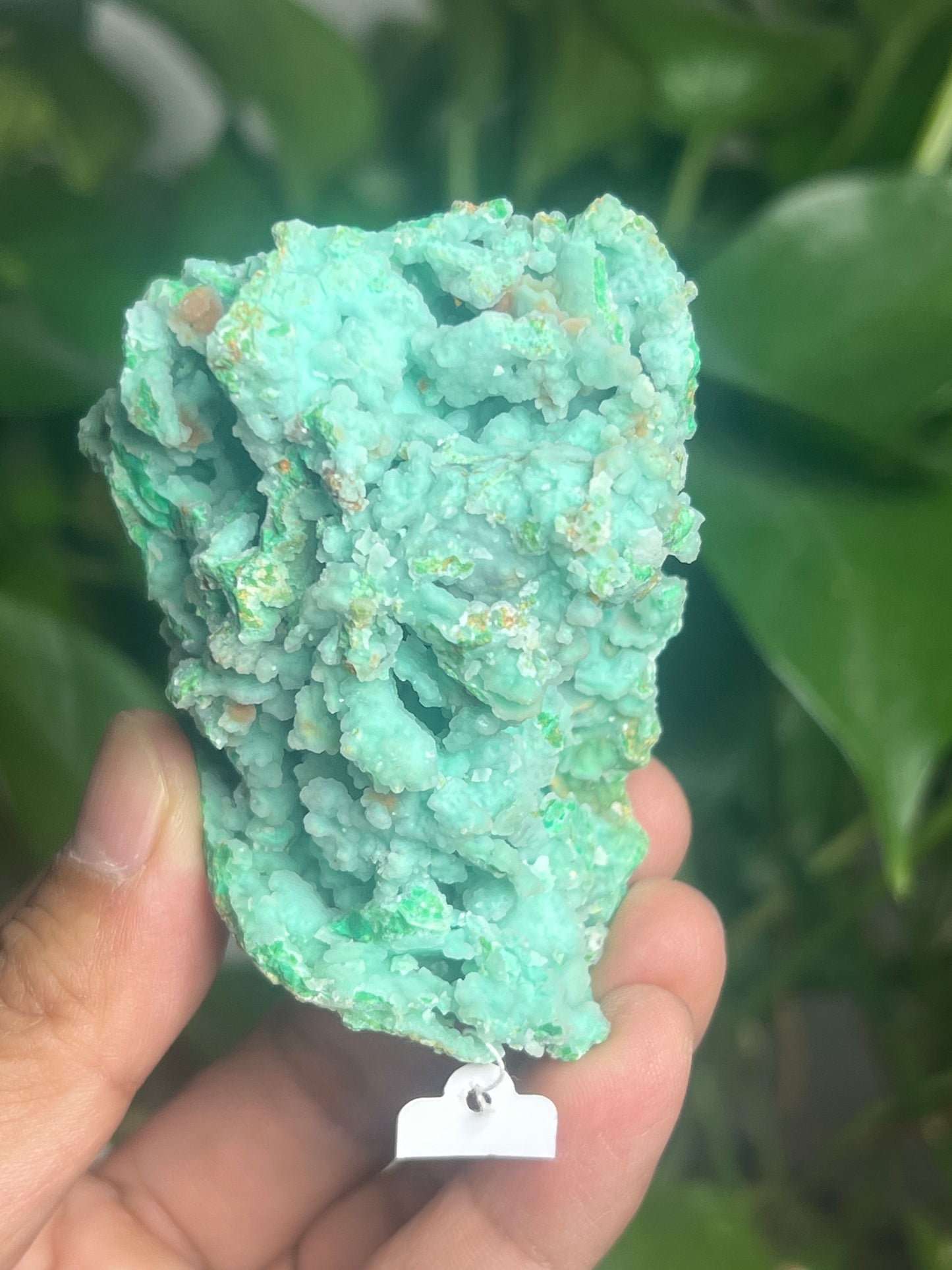 Smithsonite Specimen HB