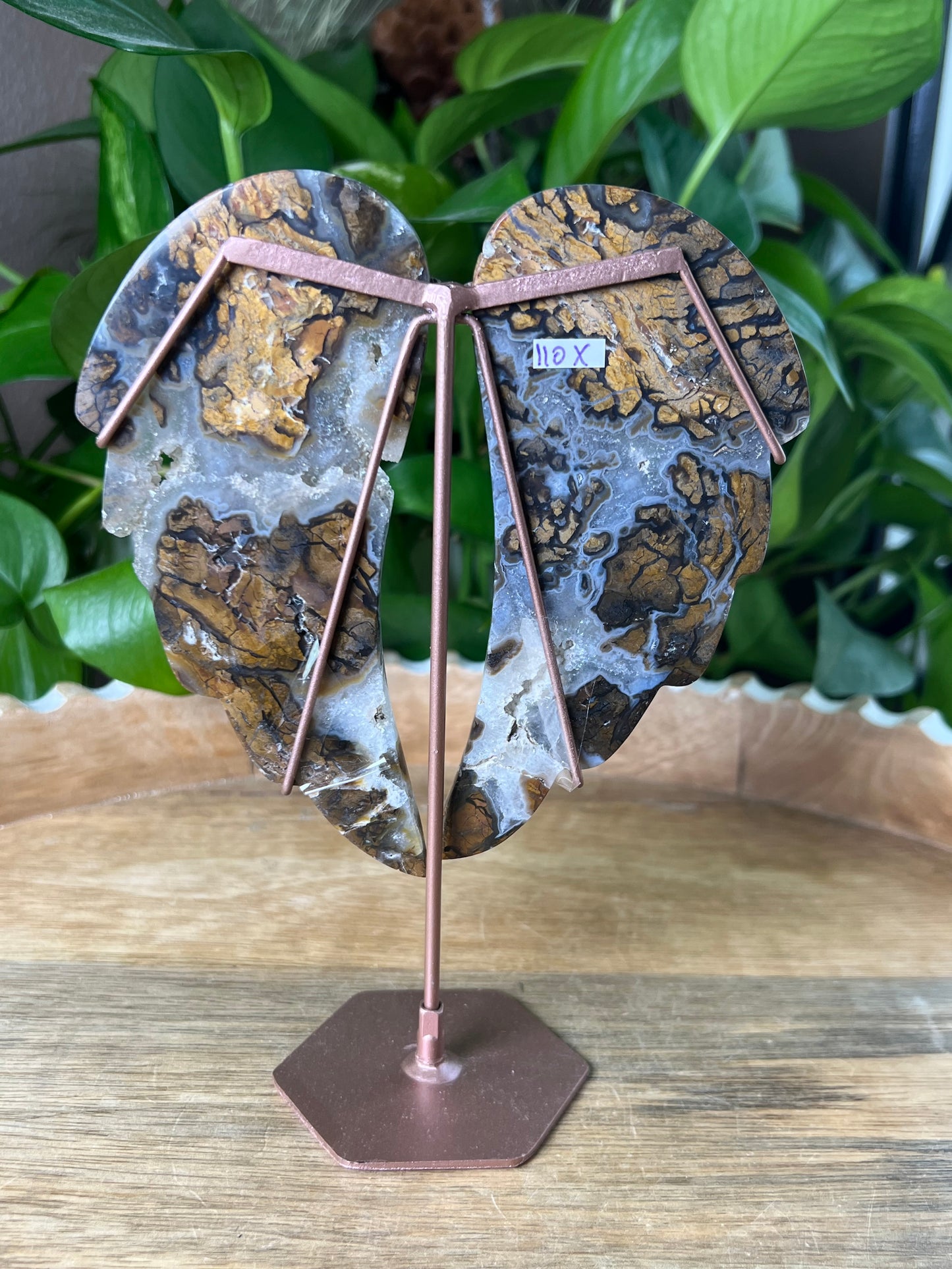 Brecciated Jasper Wings