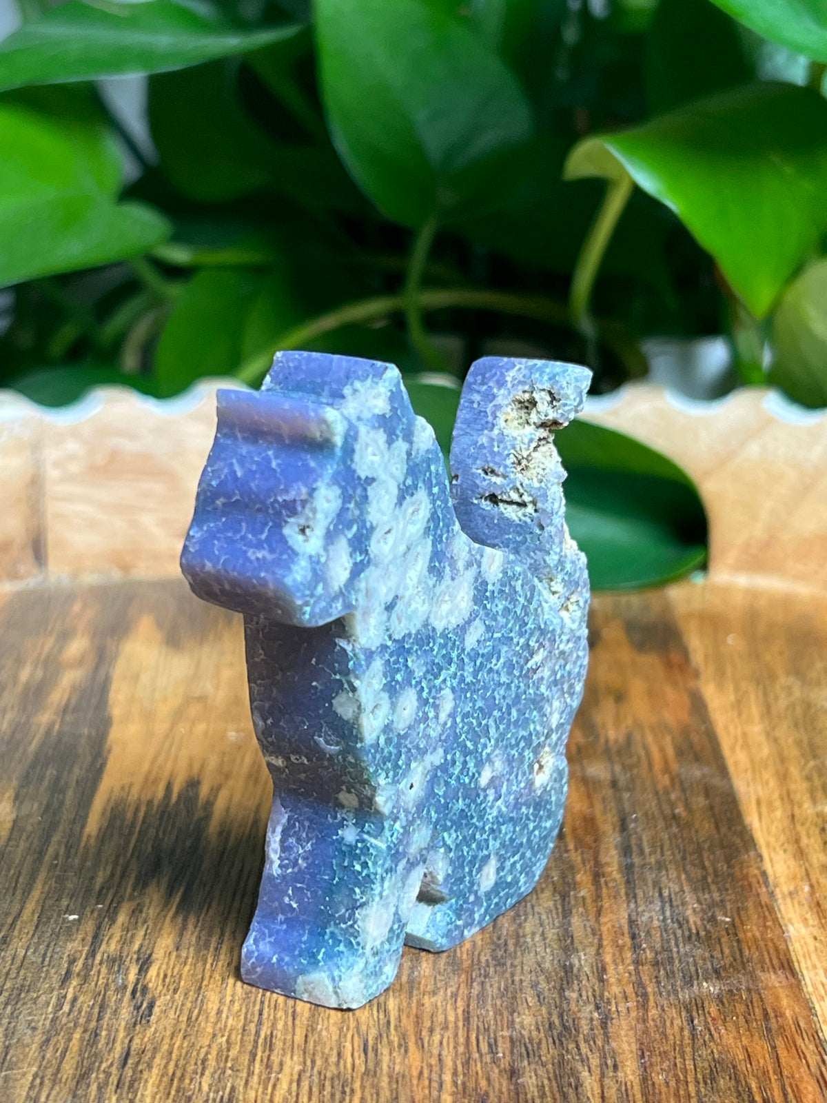 Grape Agate Cat: A