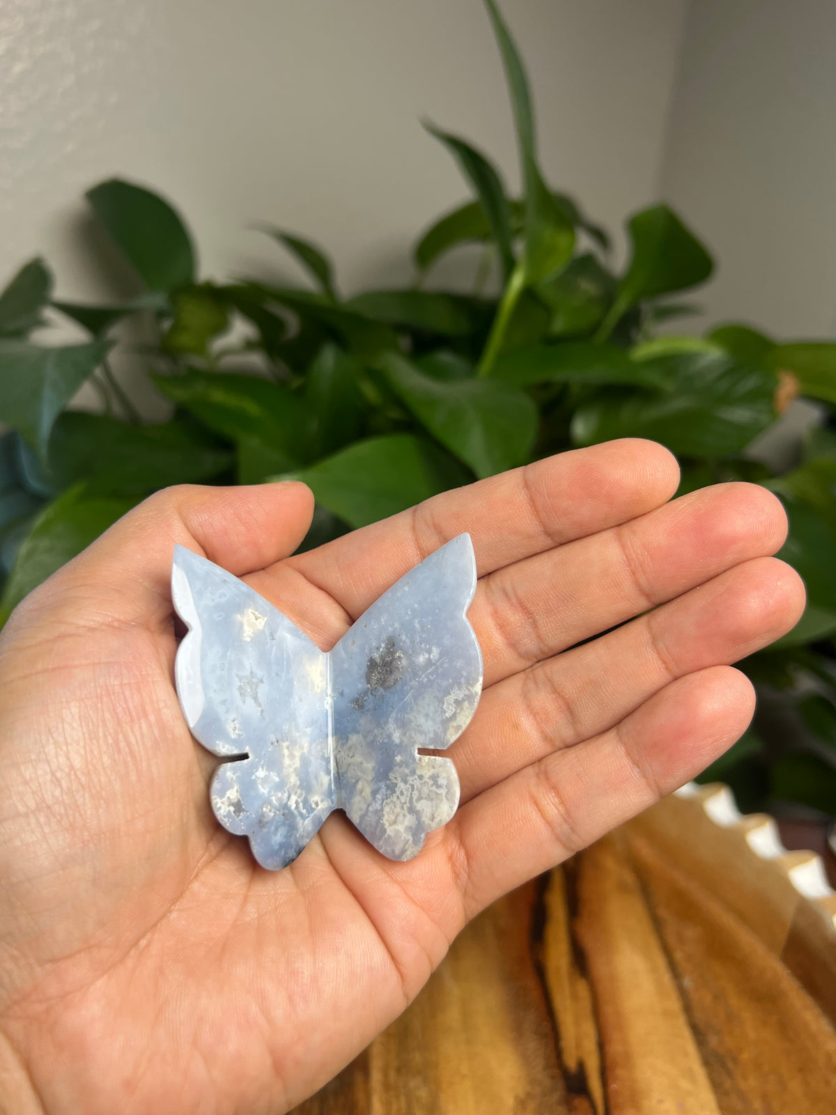 Blue Plume Agate 3D Butterfly: Ki