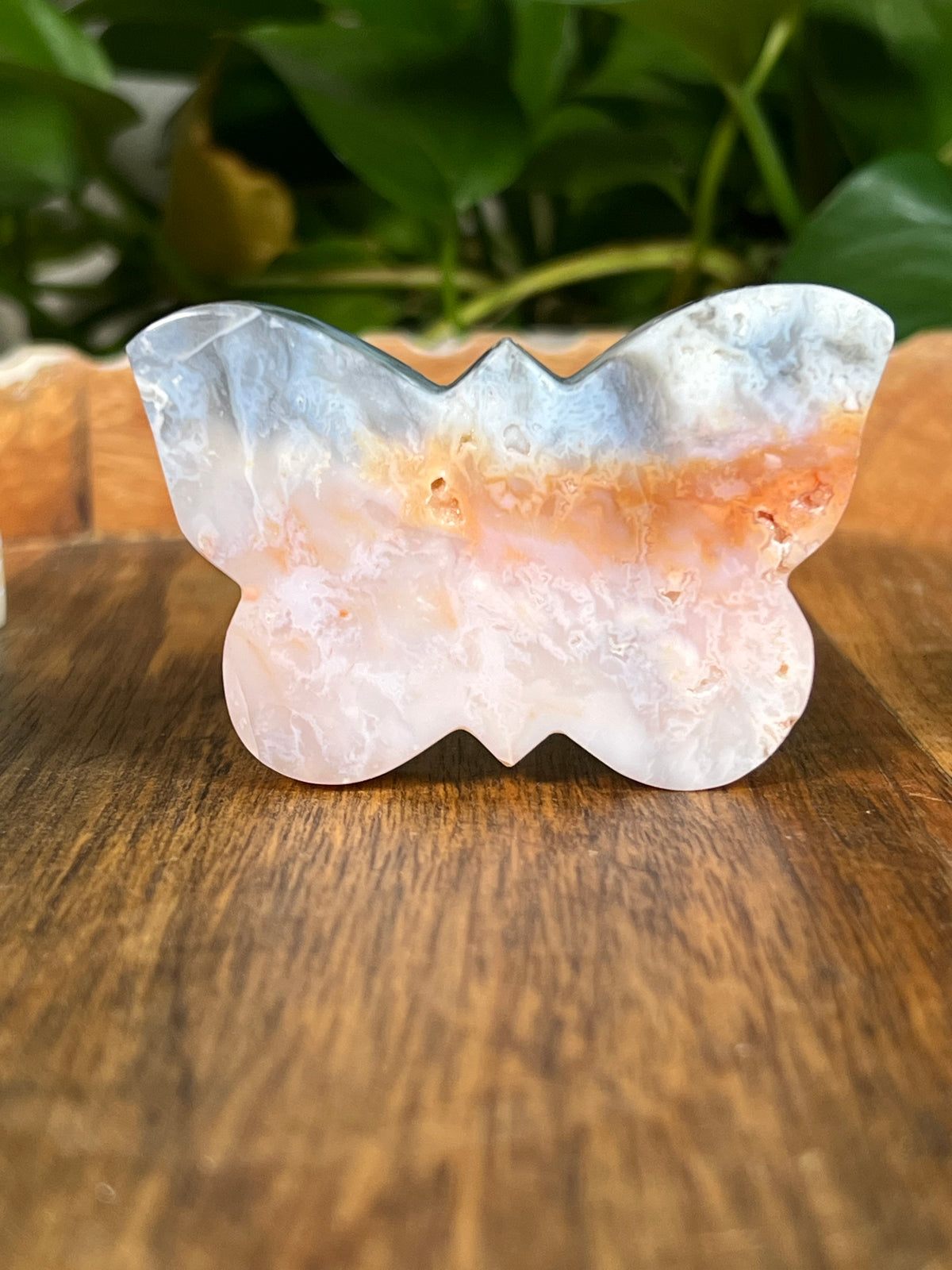 Rainbow Plume Agate Small Self Standing Butterflies