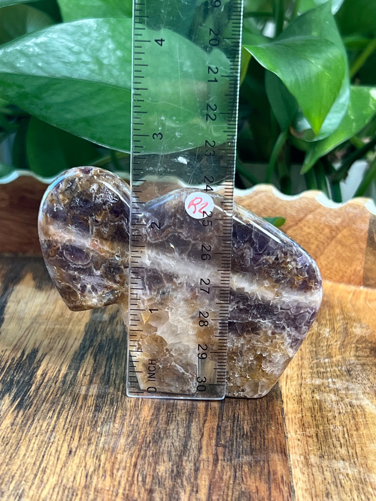 Indonesian Amethyst Buffalos