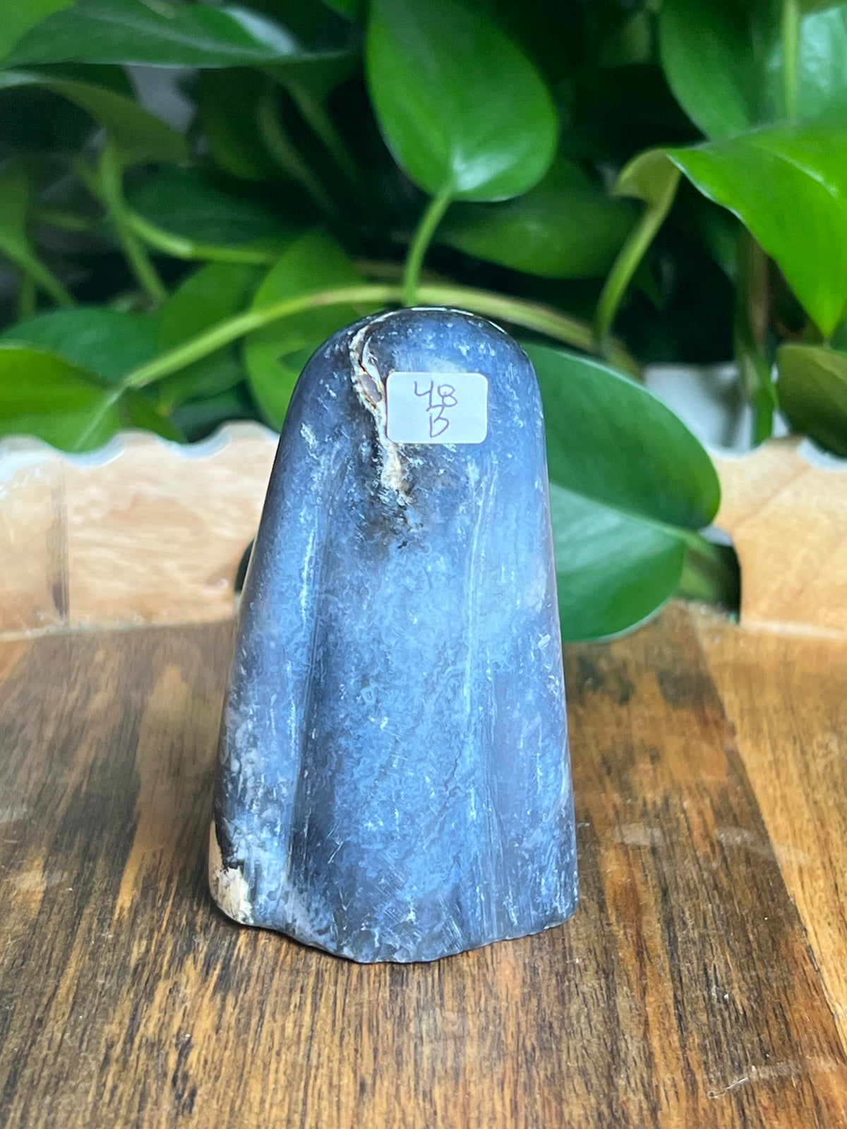 Blue Plume Agate Ghost: B