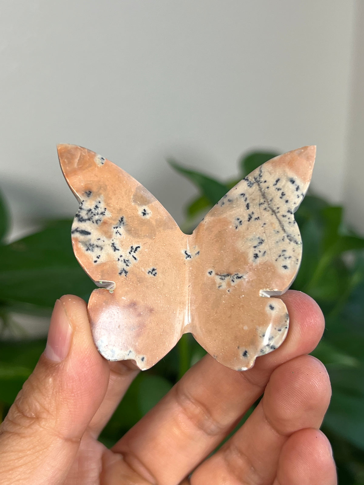 Peachy Pink Dendritic Jasper 3D Butterflies