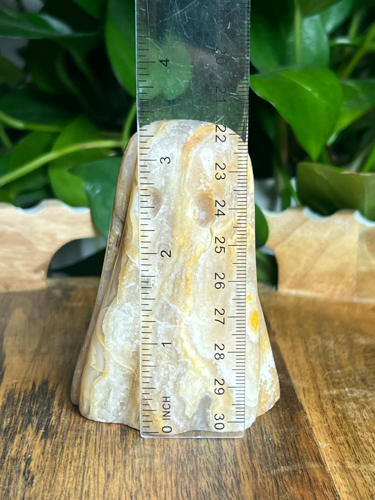 Yellow Crazy Lace Agate Ghost: S