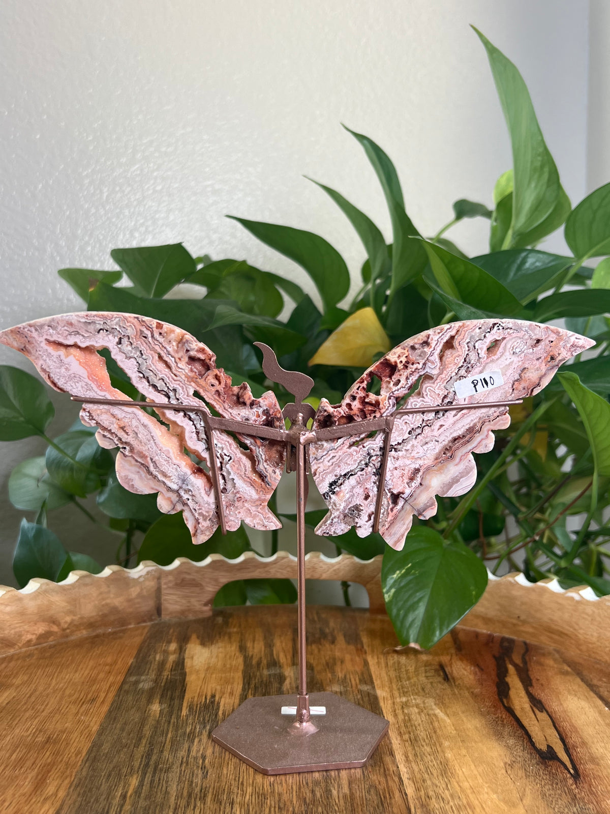 Crazy Lace Agate Wings P