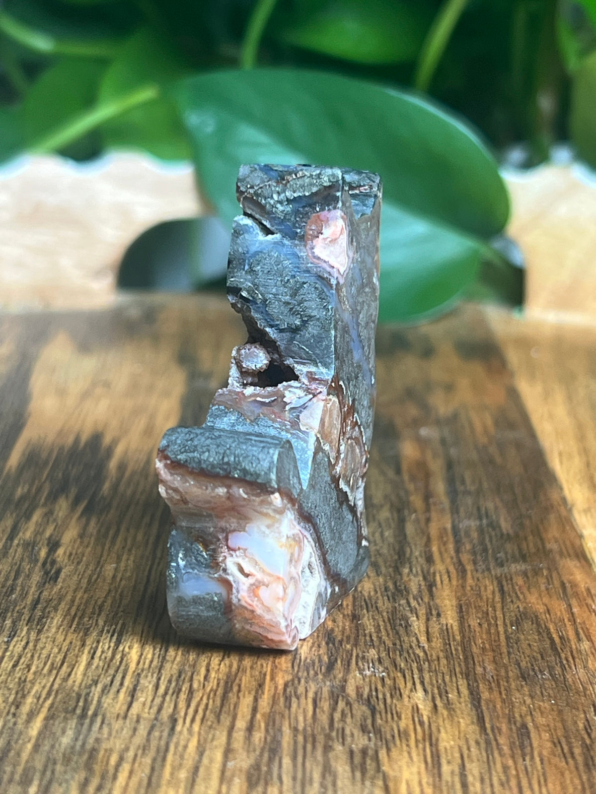 Marcasite Mini Cat: XN